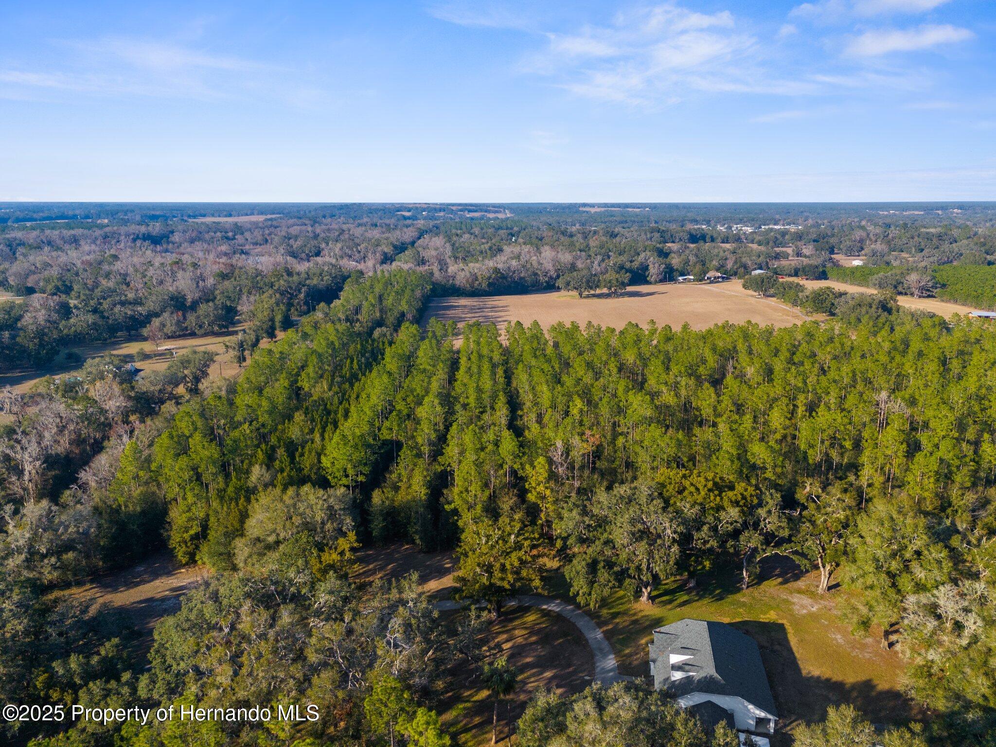 9999 Spring Lake Highway, Brooksville, Florida image 6
