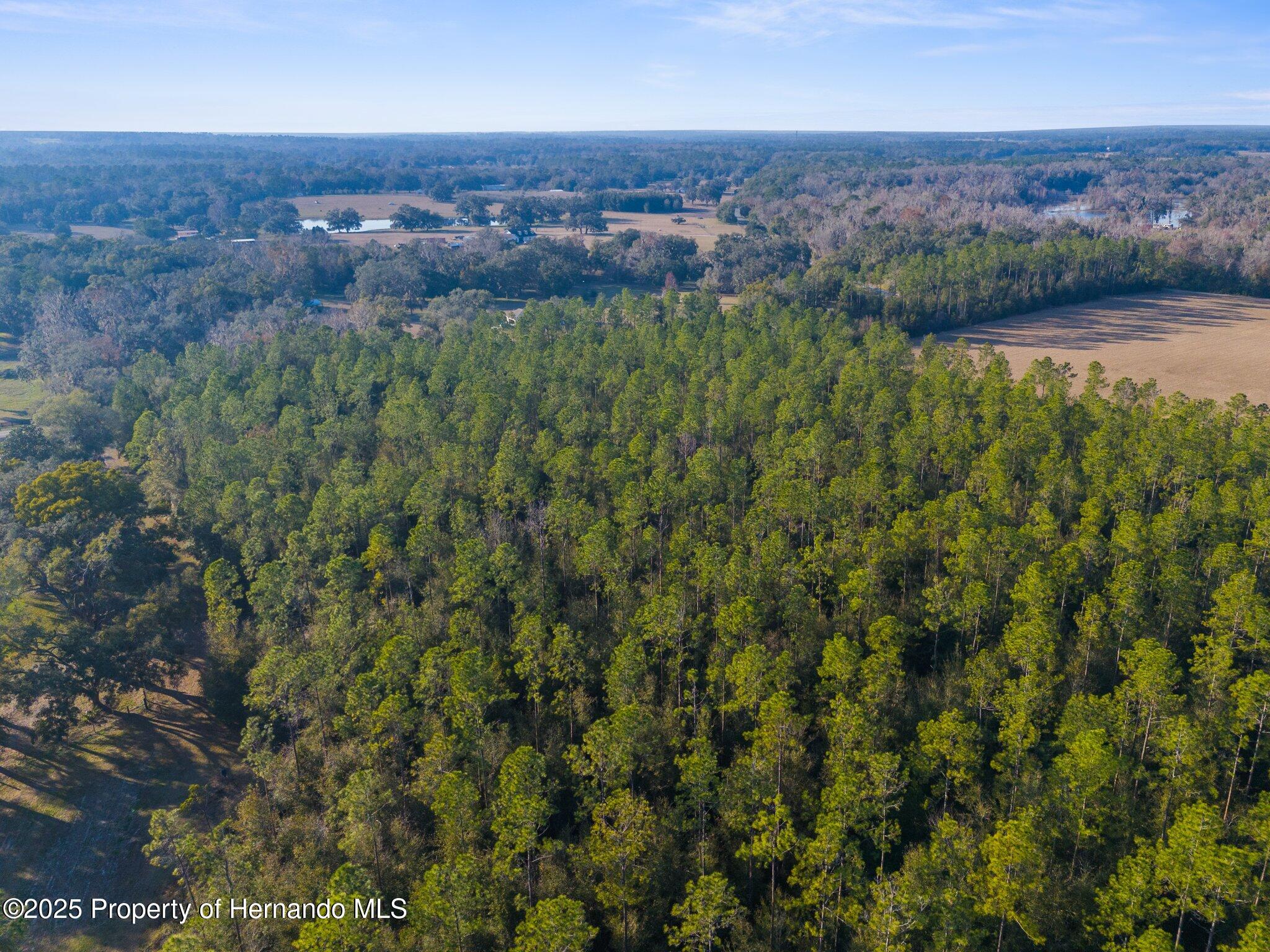 9999 Spring Lake Highway, Brooksville, Florida image 7