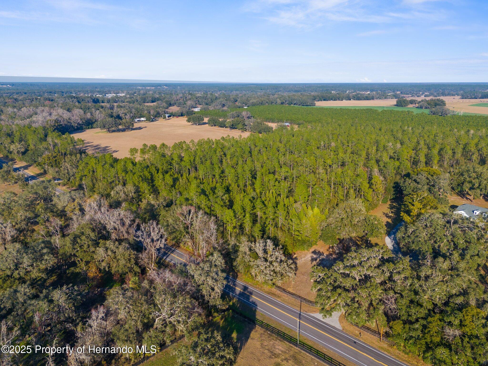 9999 Spring Lake Highway, Brooksville, Florida image 5