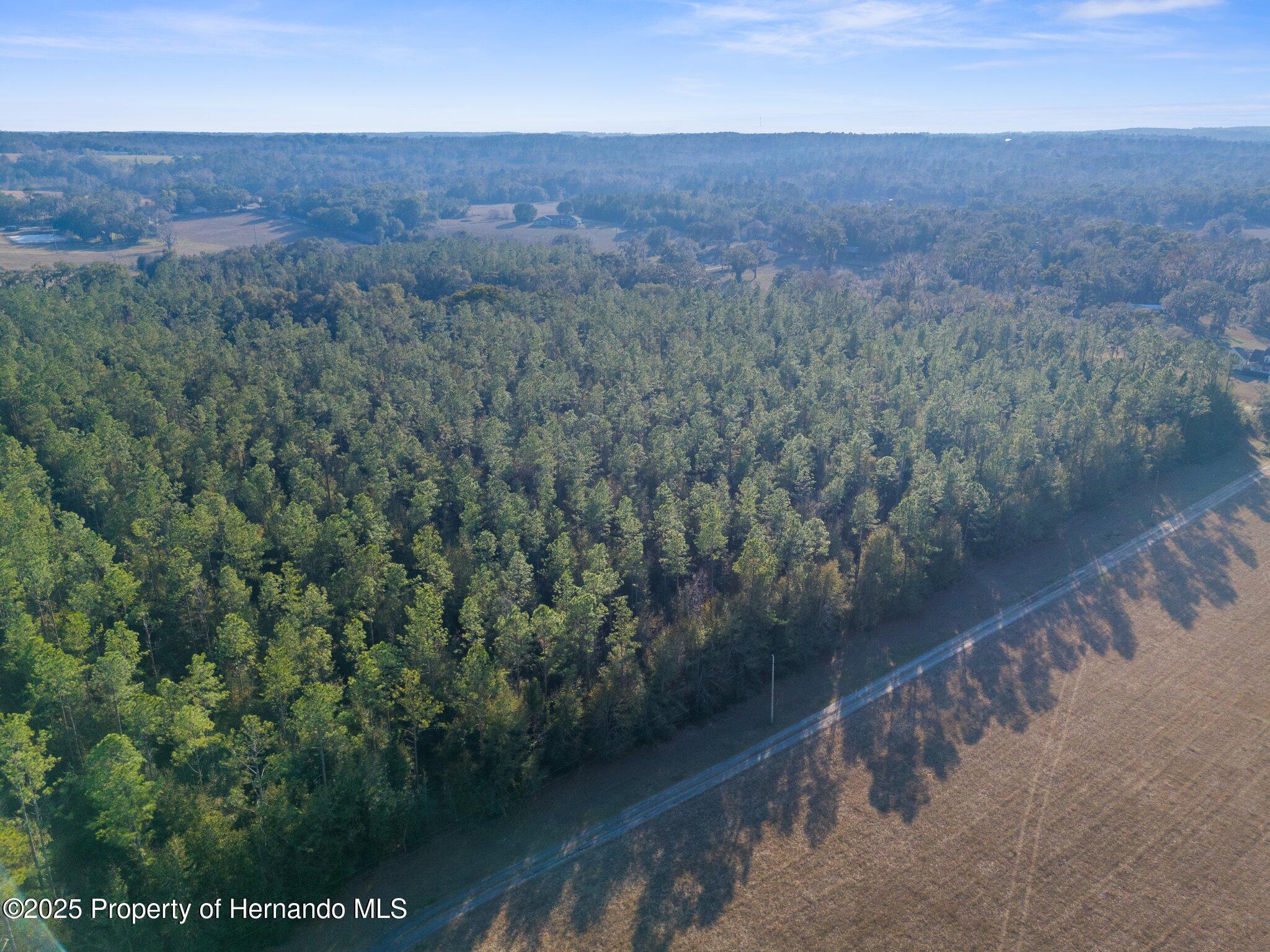 9999 Spring Lake Highway, Brooksville, Florida image 9