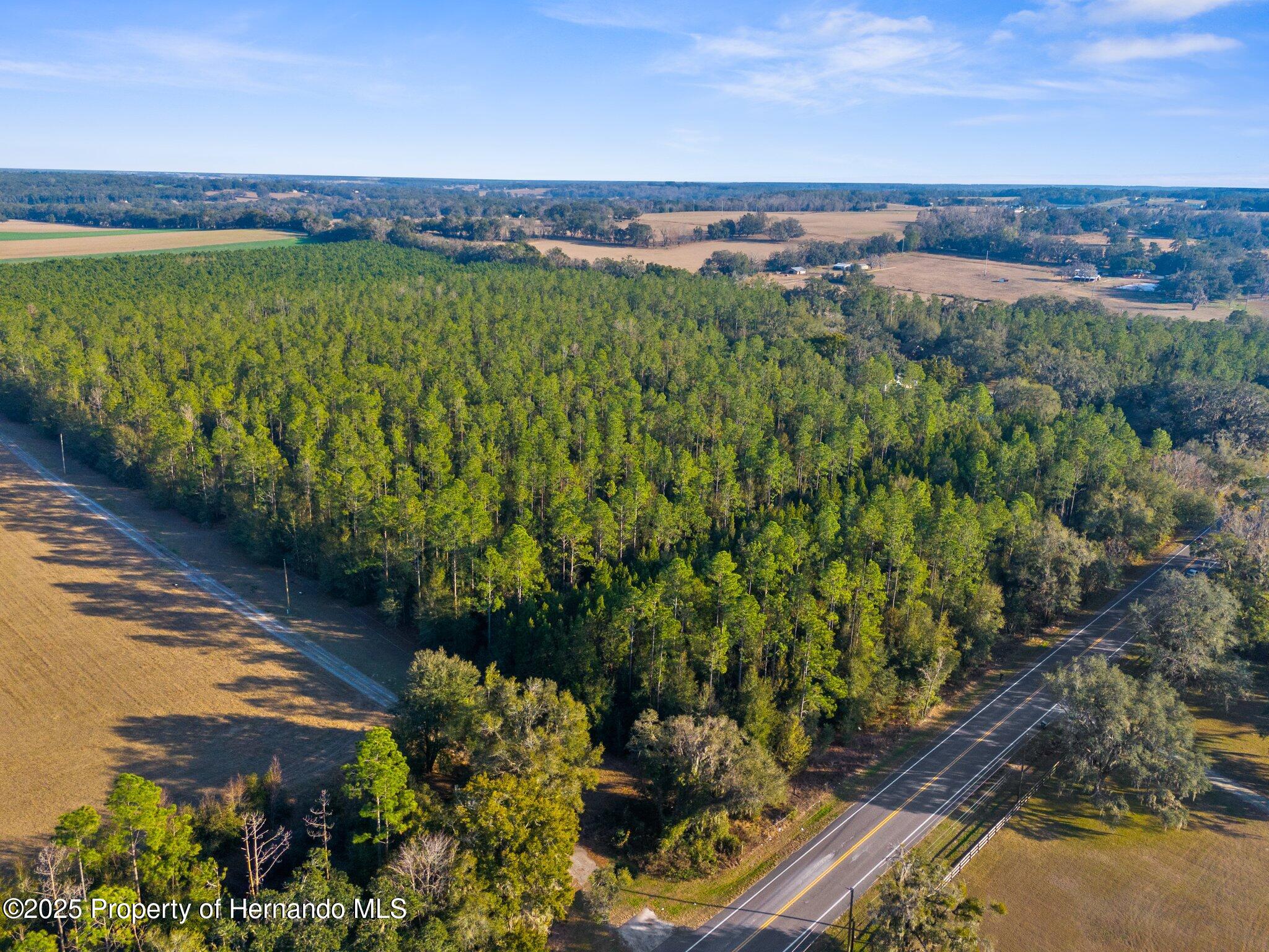 9999 Spring Lake Highway, Brooksville, Florida image 10