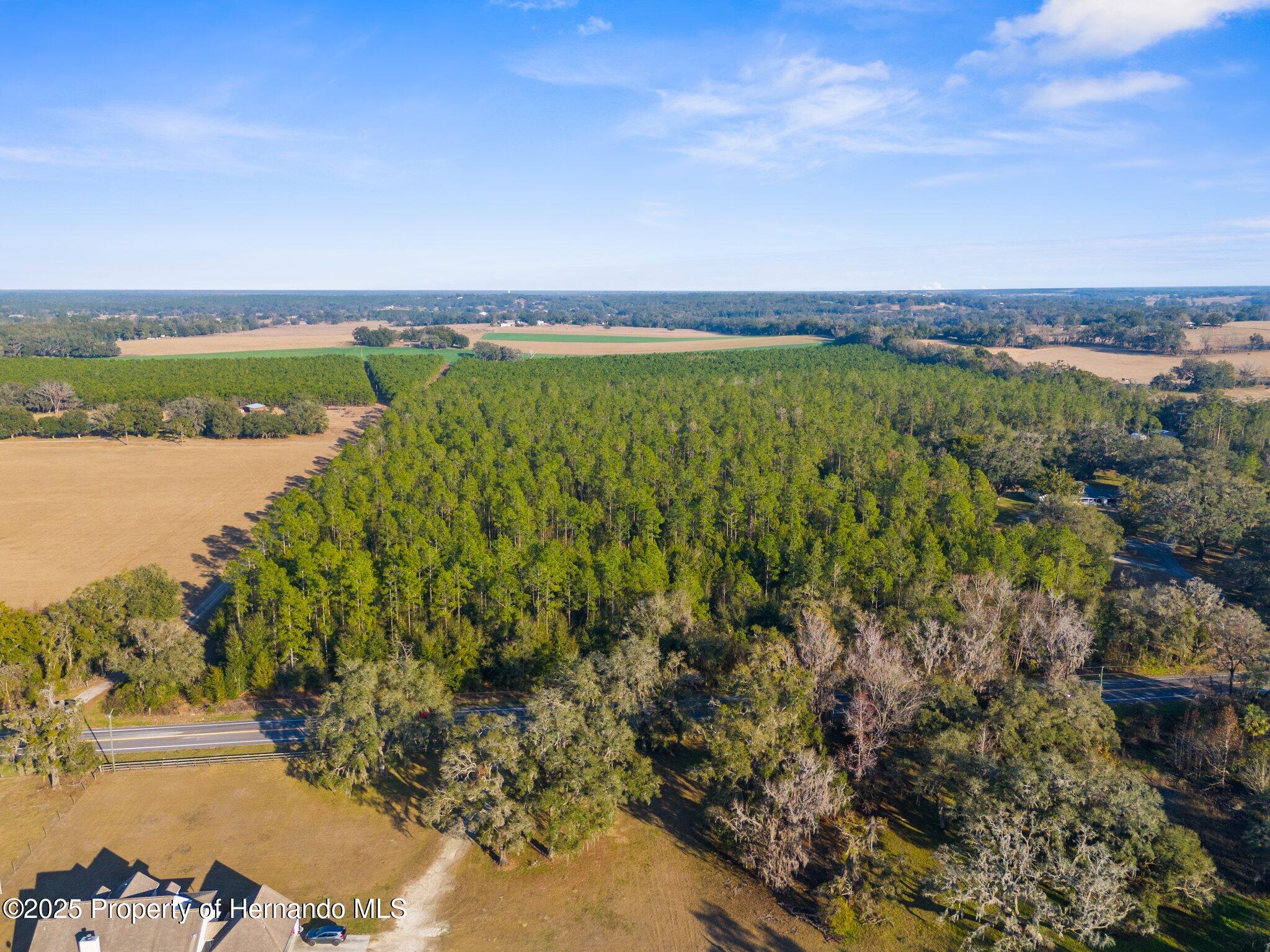 9999 Spring Lake Highway, Brooksville, Florida image 4
