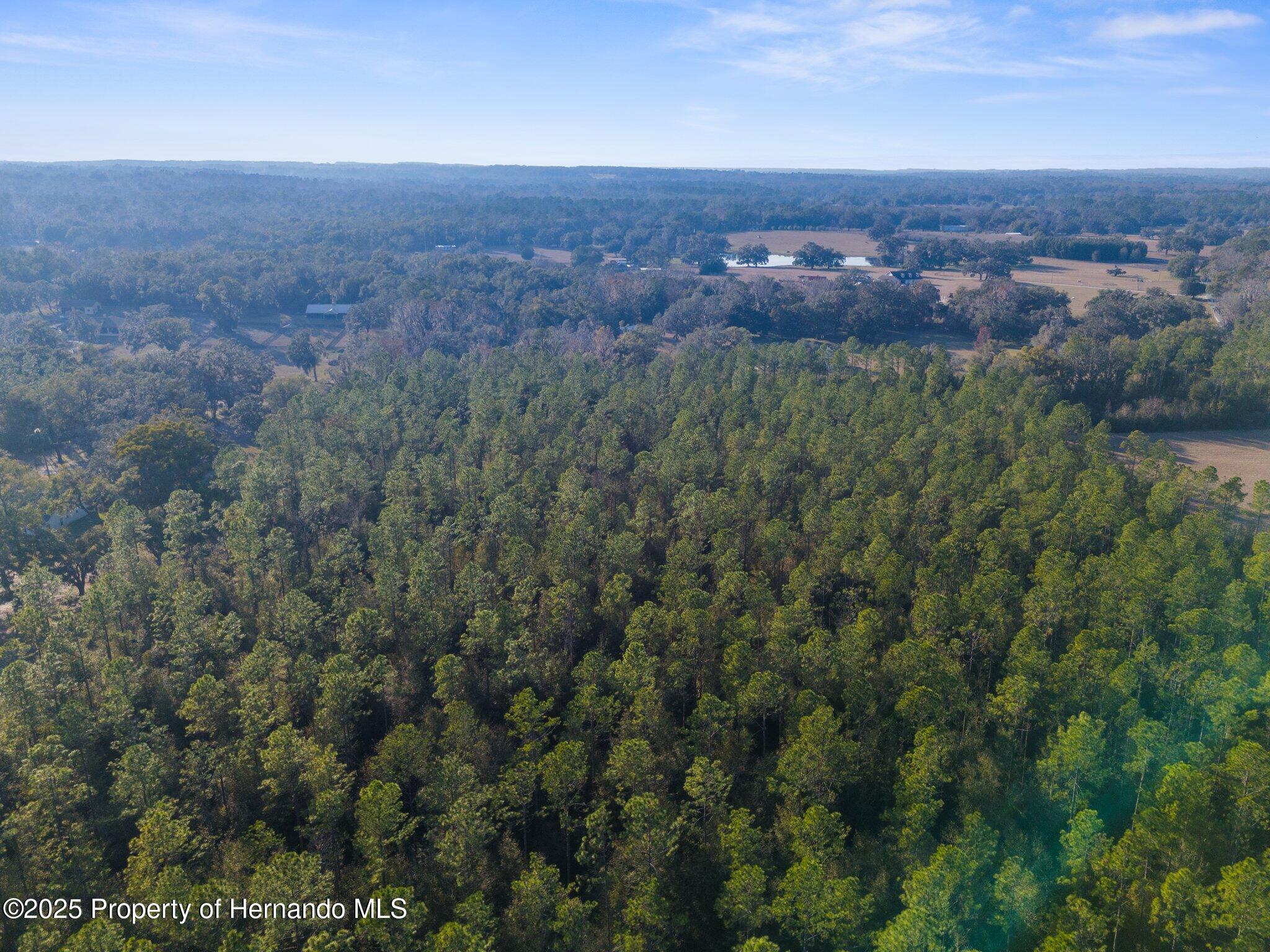 9999 Spring Lake Highway, Brooksville, Florida image 8
