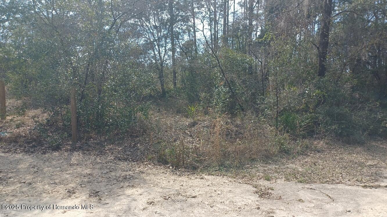 00 English Parrot Road, Brooksville, Florida image 2