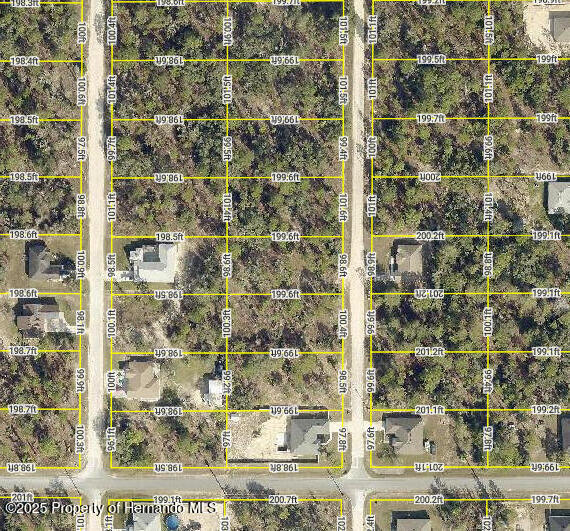 00 English Parrot Road, Brooksville, Florida image 1