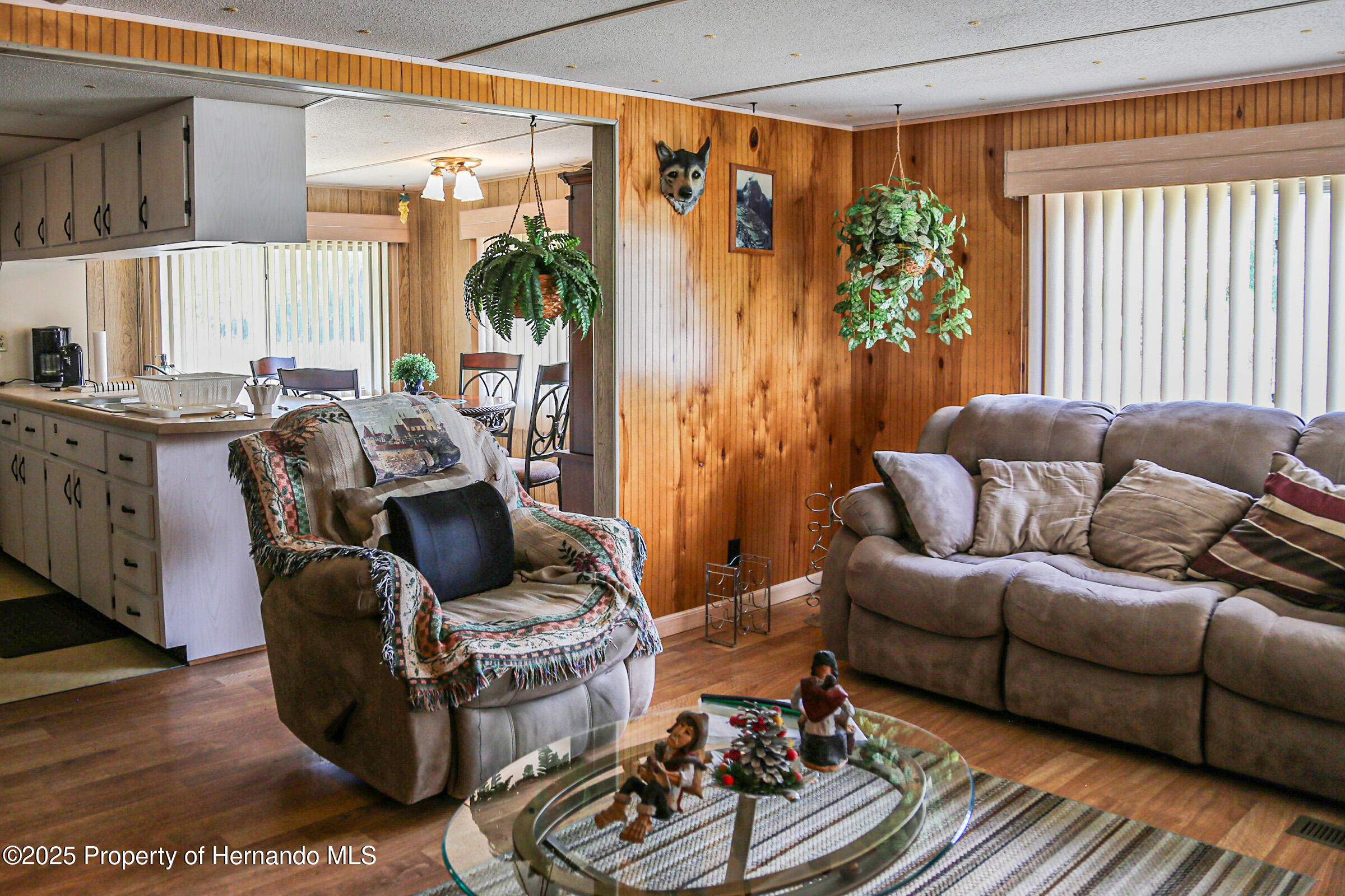 29257 Glenwood Street, Brooksville, Florida image 6
