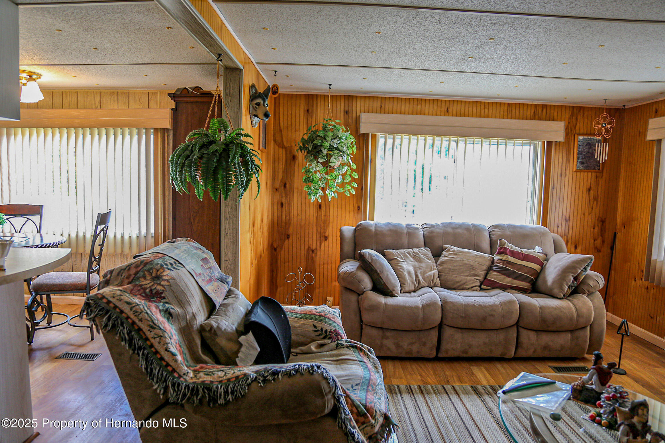 29257 Glenwood Street, Brooksville, Florida image 5