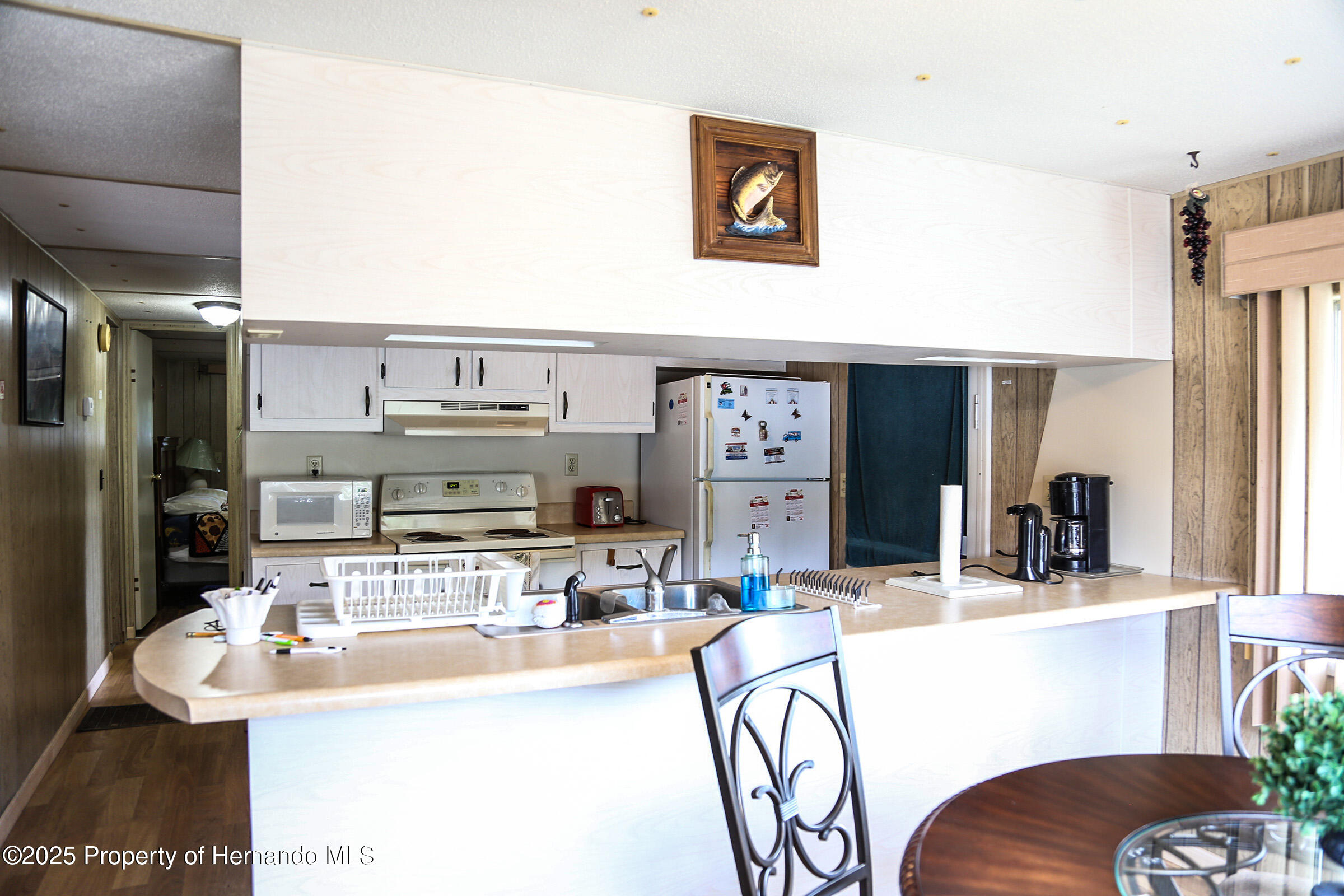 29257 Glenwood Street, Brooksville, Florida image 10
