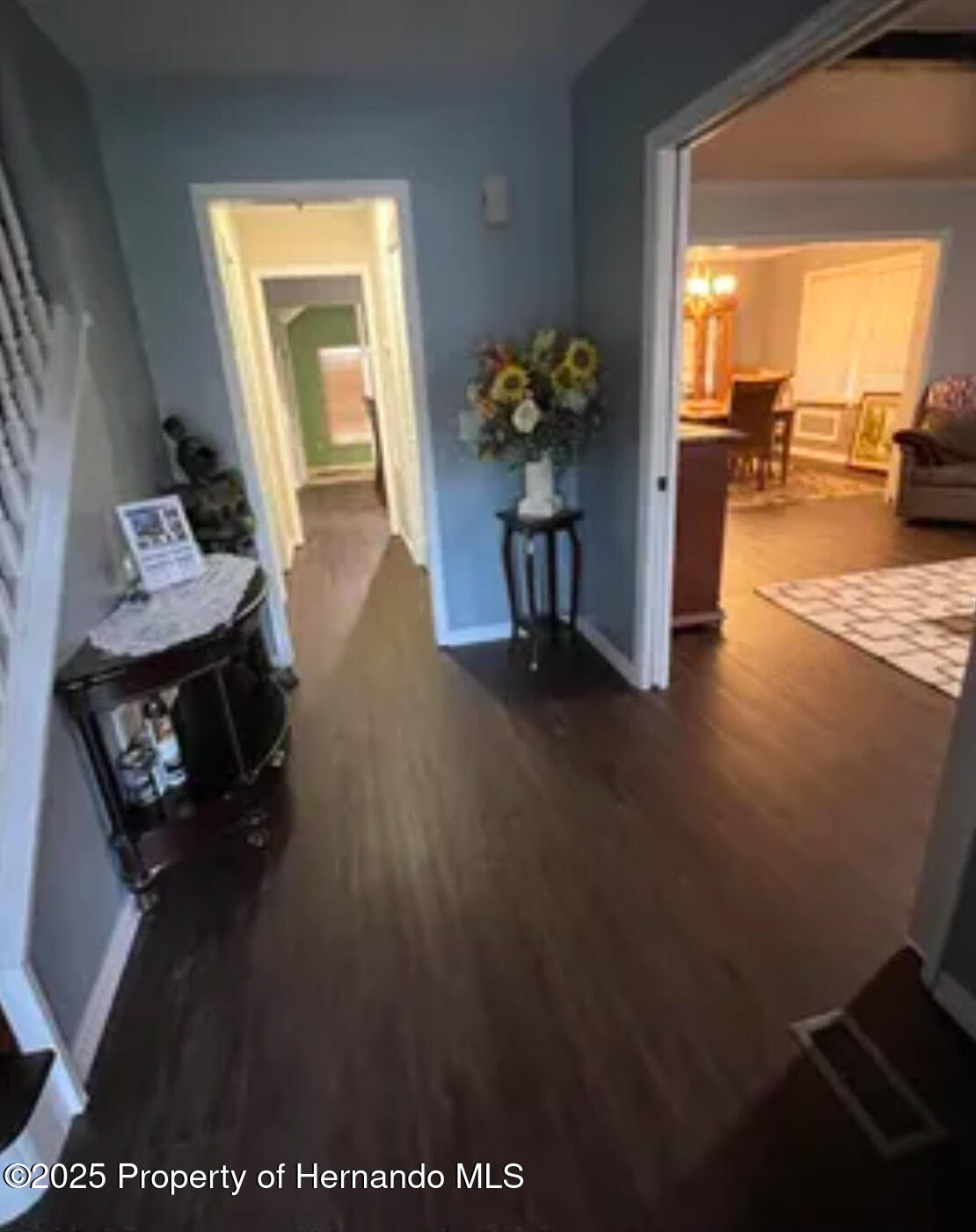 14 Jungleplum Court, Homosassa, Florida image 3