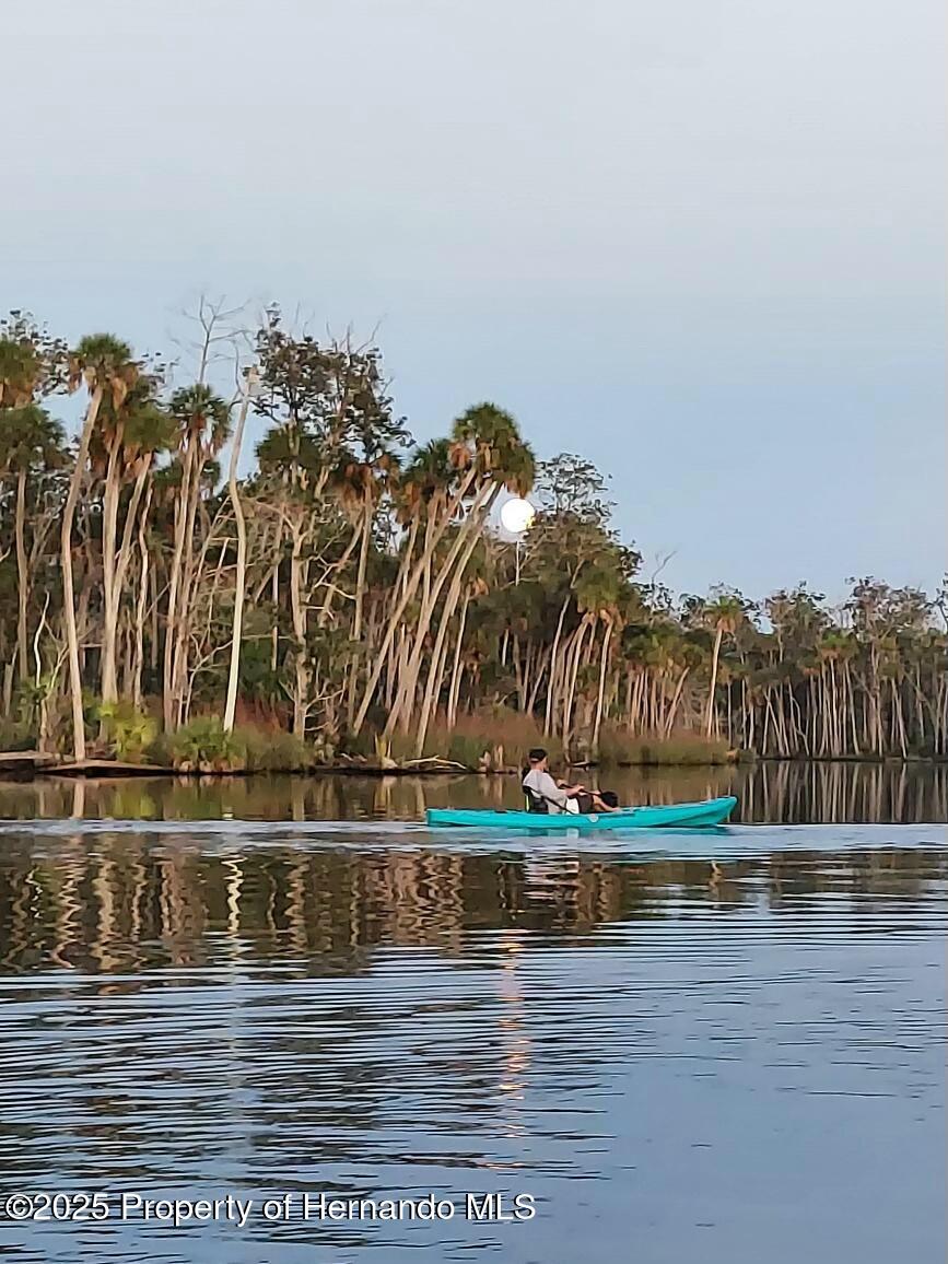 Lot 2 Flexer Drive, HERNANDO BEACH, Florida image 15