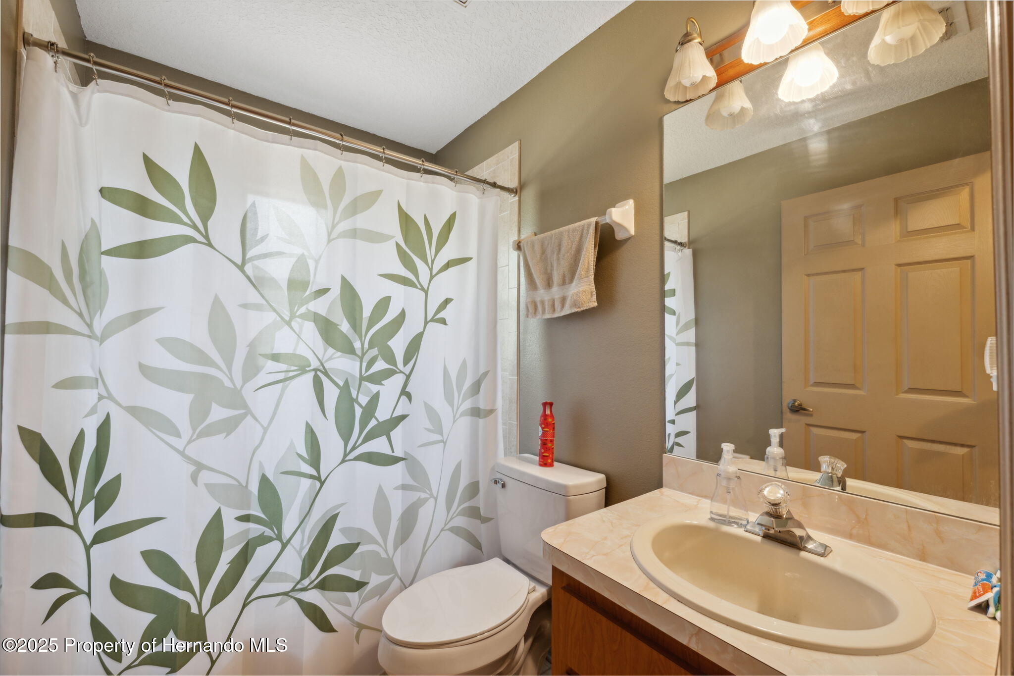 6080 Dexter Lane, Brooksville, Florida image 25