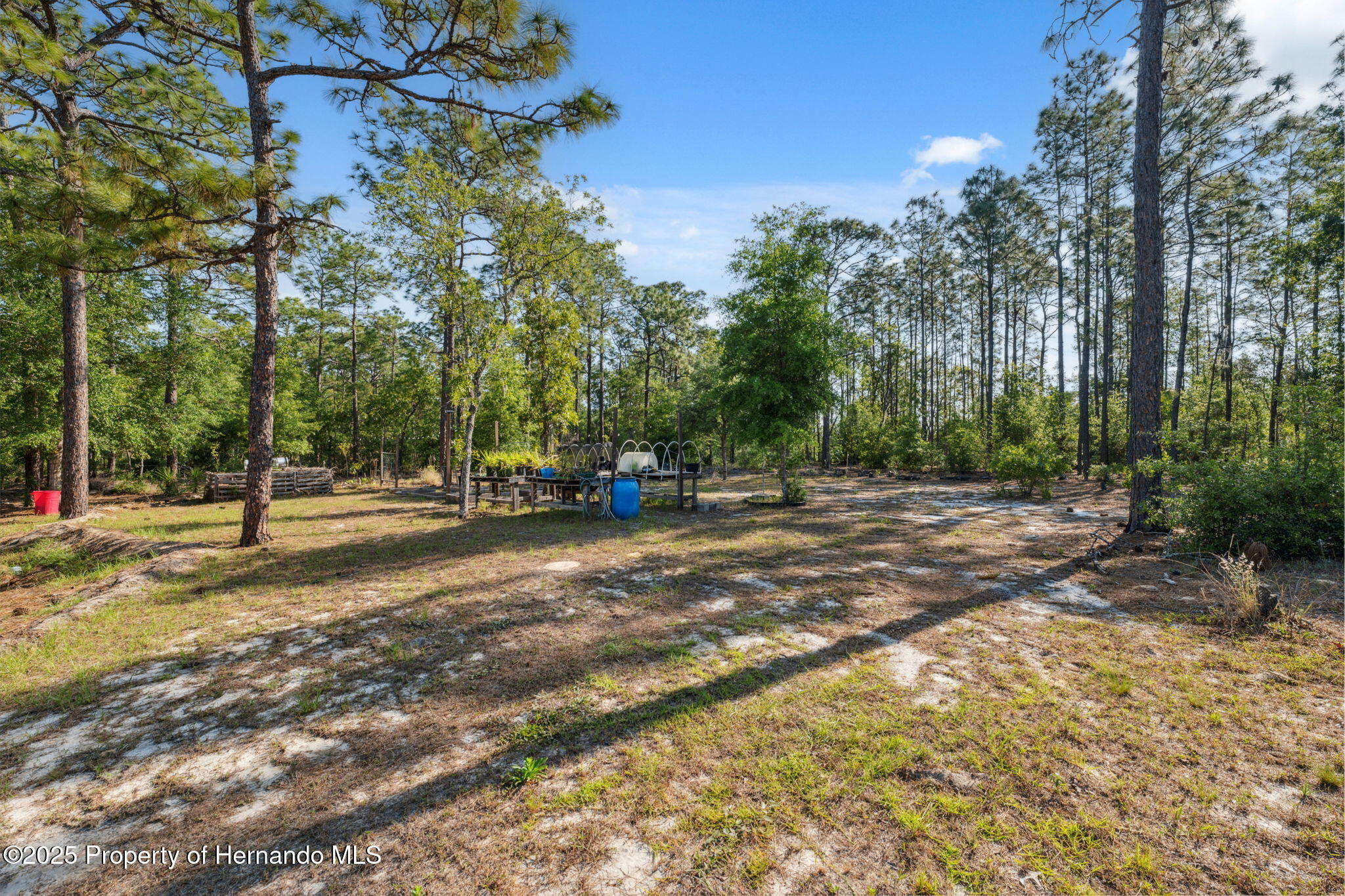 6080 Dexter Lane, Brooksville, Florida image 40