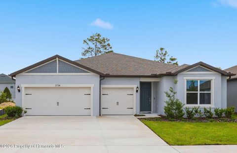 Homes For Sale - 3734 Obsidian Drive<br/> Spring Hill, FL 34609