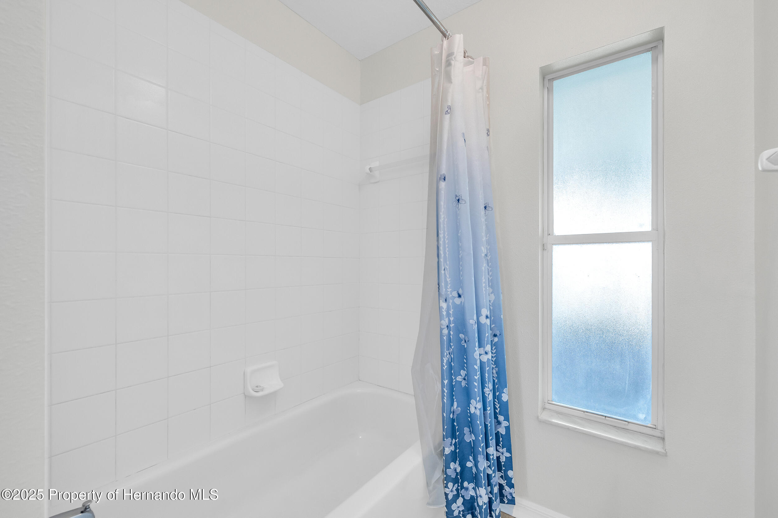 11217 Kangley Lane, Spring Hill, Florida image 34