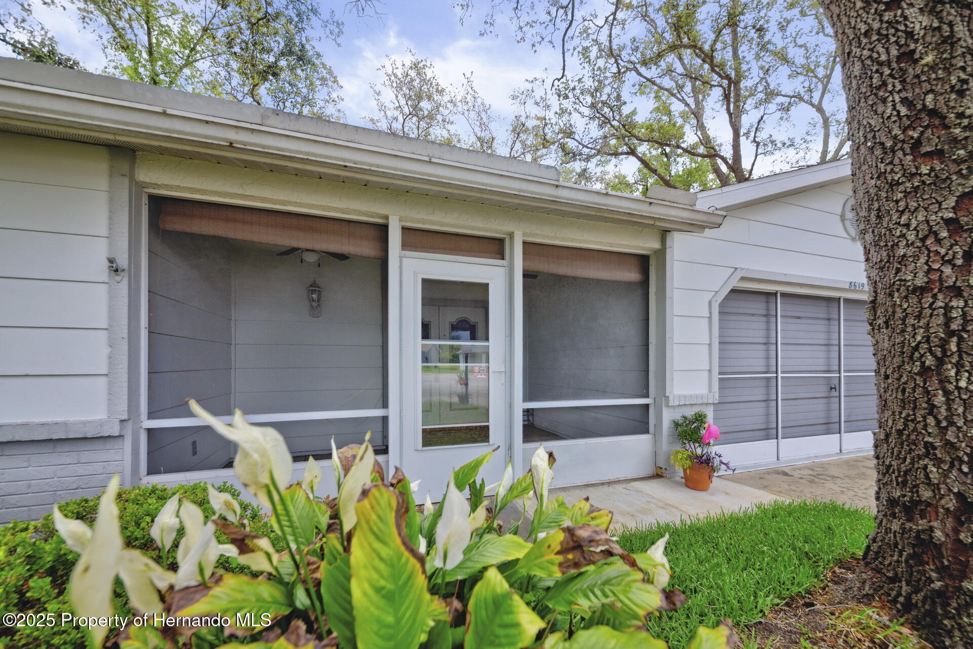 8619 Gold Pine Drive, Port Richey, Florida image 4