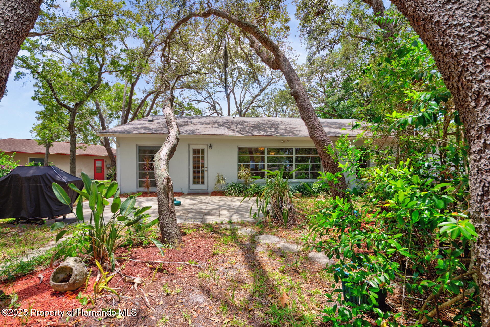 8619 Gold Pine Drive, Port Richey, Florida image 26