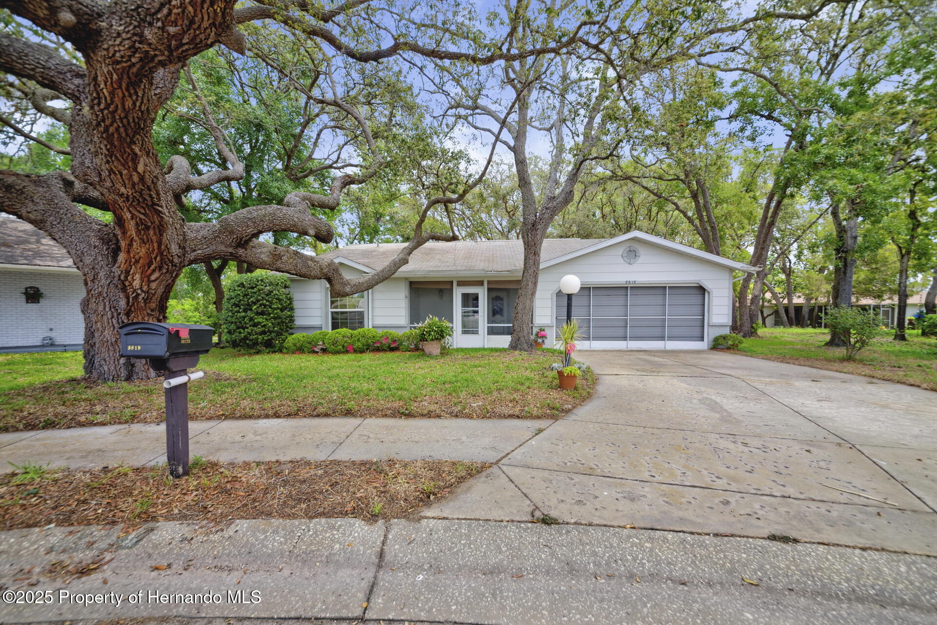 8619 Gold Pine Drive, Port Richey, Florida image 1