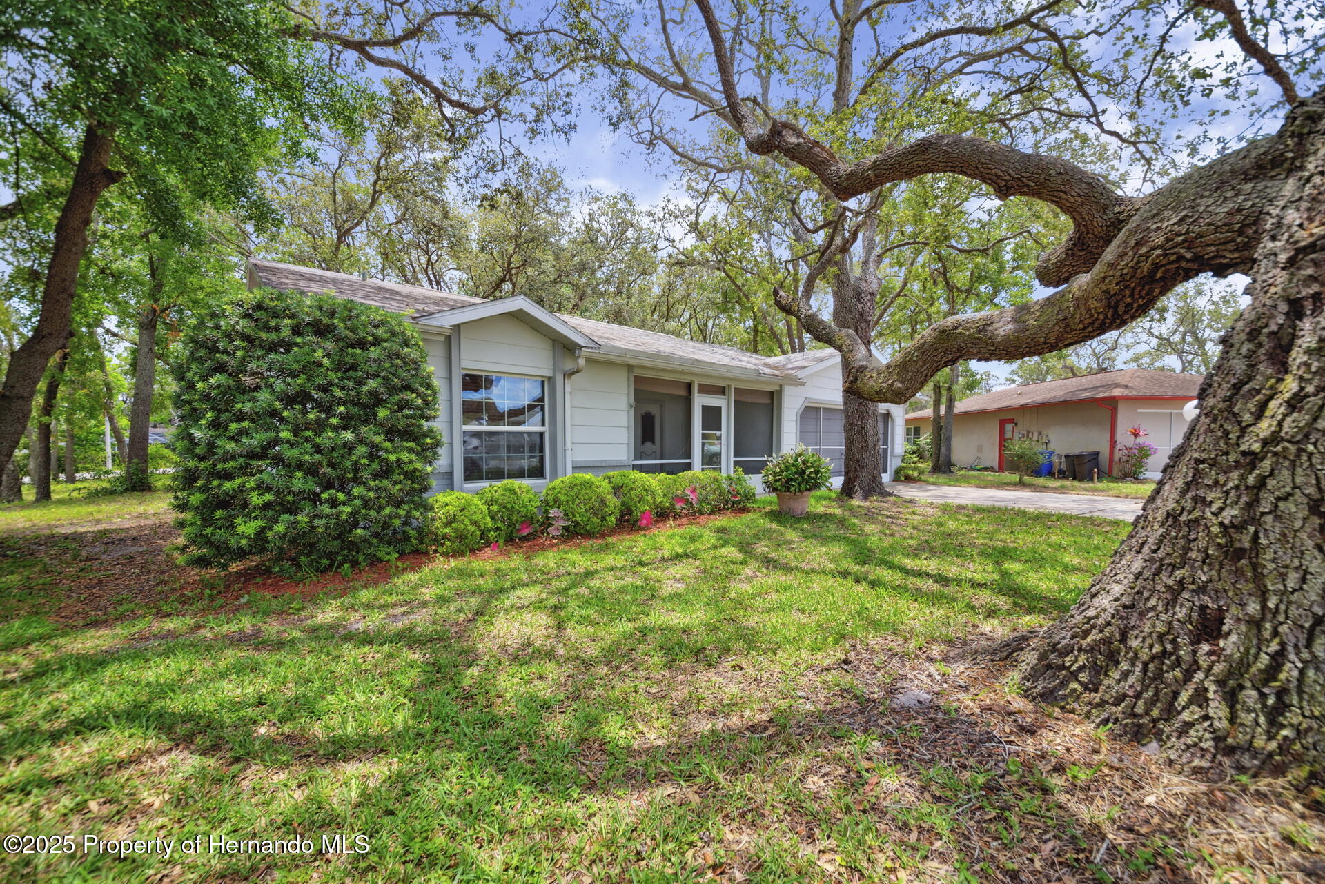 8619 Gold Pine Drive, Port Richey, Florida image 2