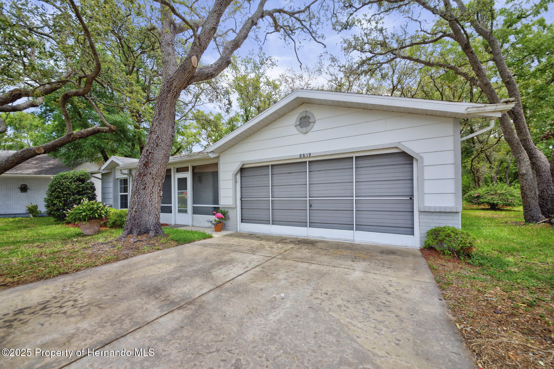 8619 Gold Pine Drive, Port Richey, Florida image 3