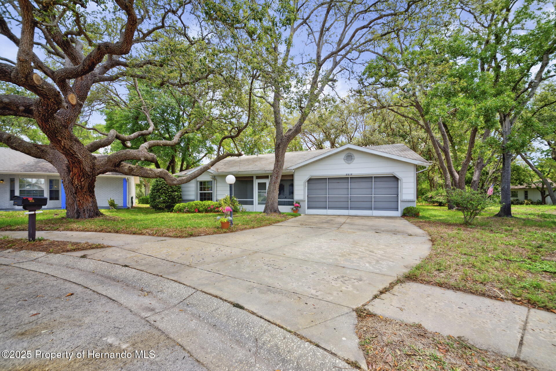 8619 Gold Pine Drive, Port Richey, Florida image 30