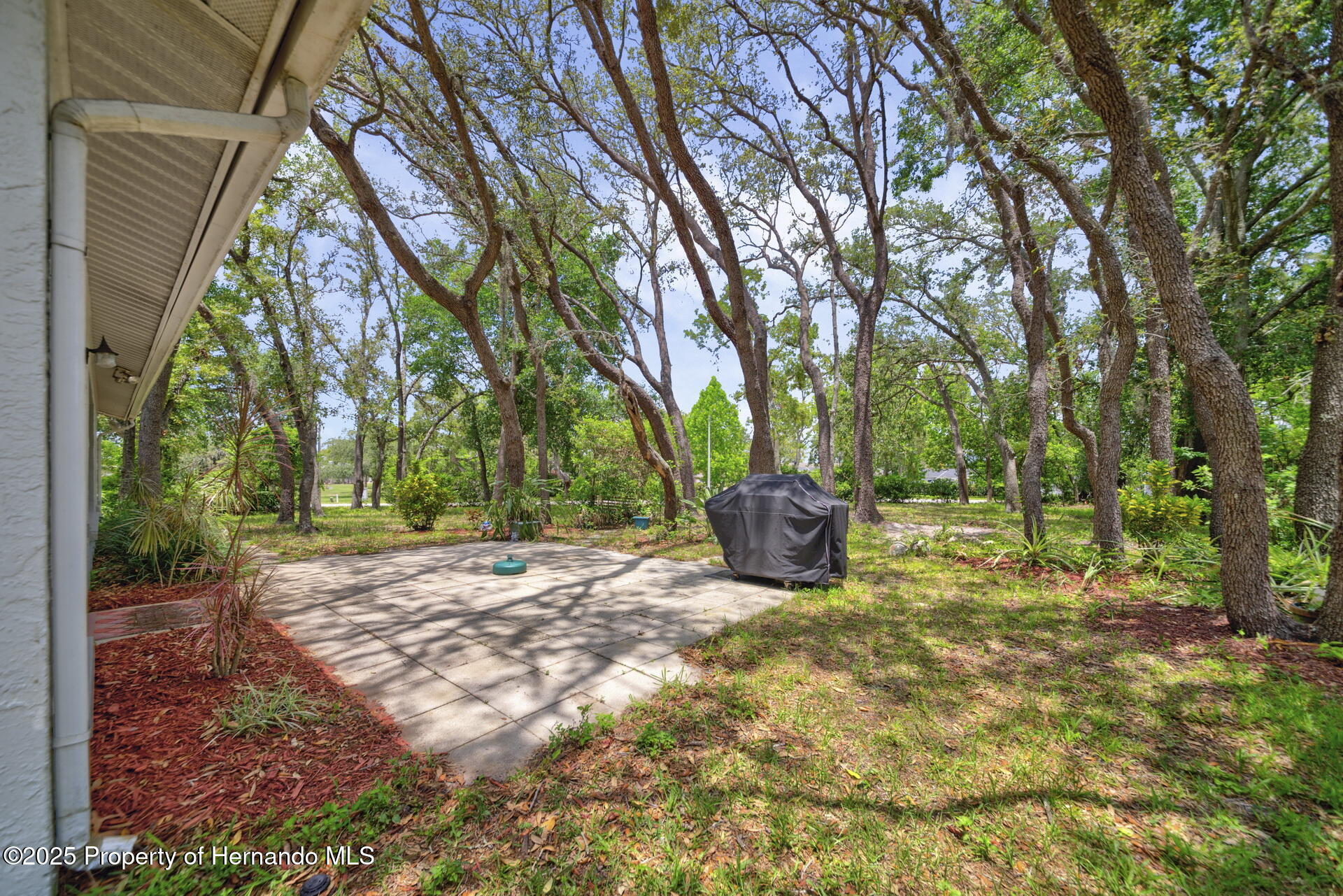 8619 Gold Pine Drive, Port Richey, Florida image 29