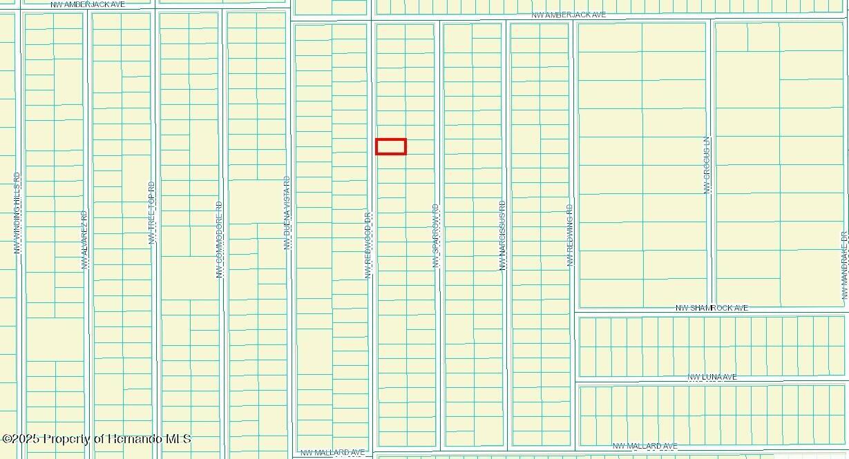 449342 Nw Redwood Drive, Dunnellon, Florida image 2