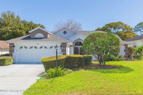 Homes For Sale - 8100 Hidden Hills Drive<br/> Spring Hill, FL 34606