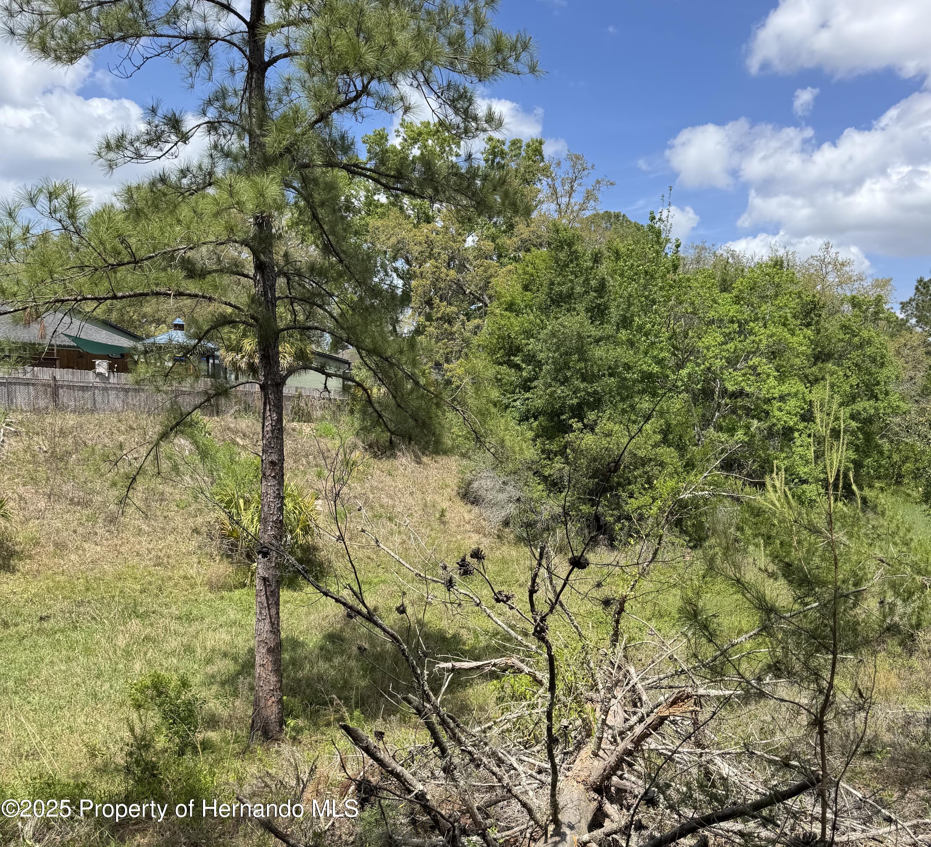 . Waterfall Drive, Spring Hill, Florida image 4