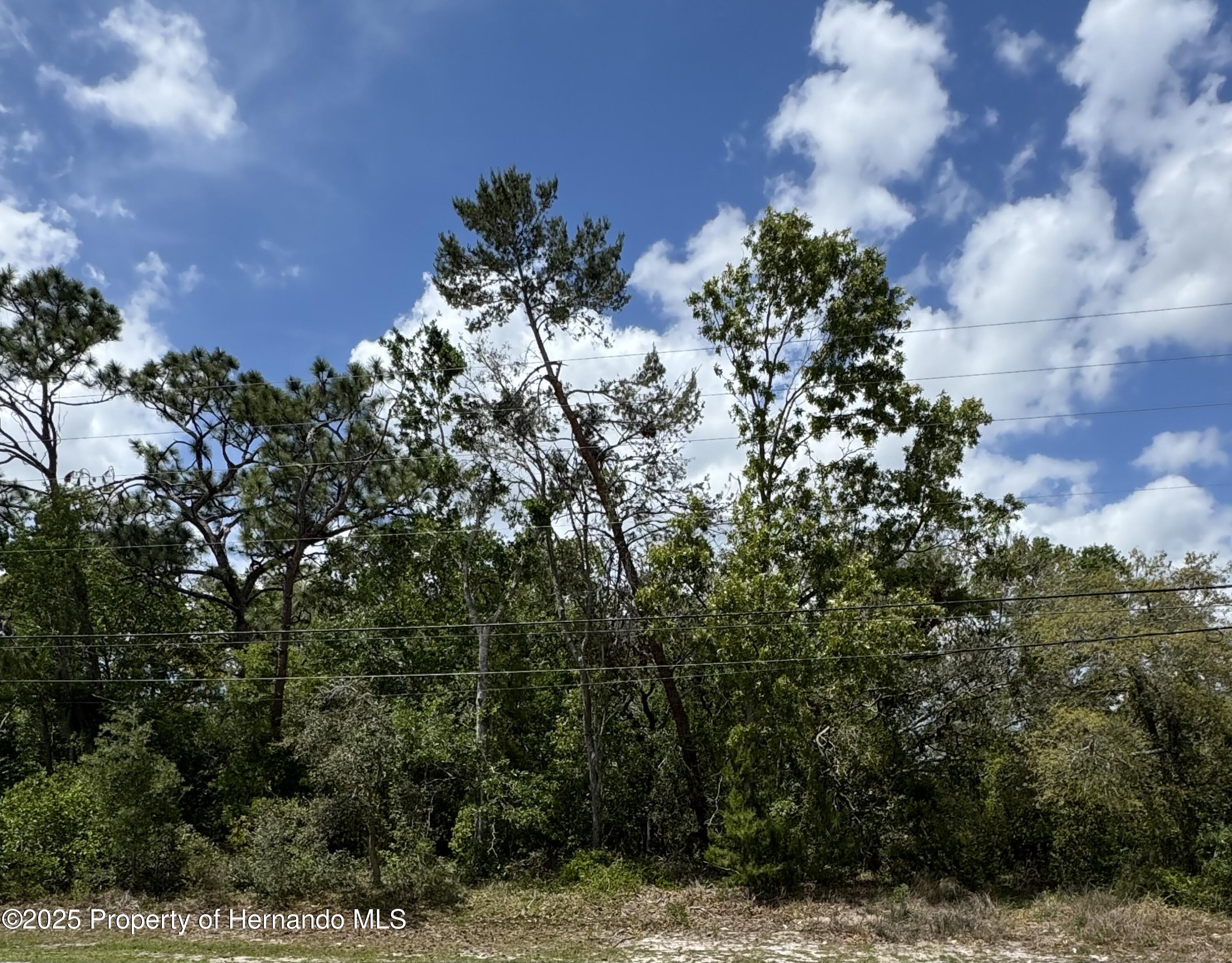 . Waterfall Drive, Spring Hill, Florida image 1