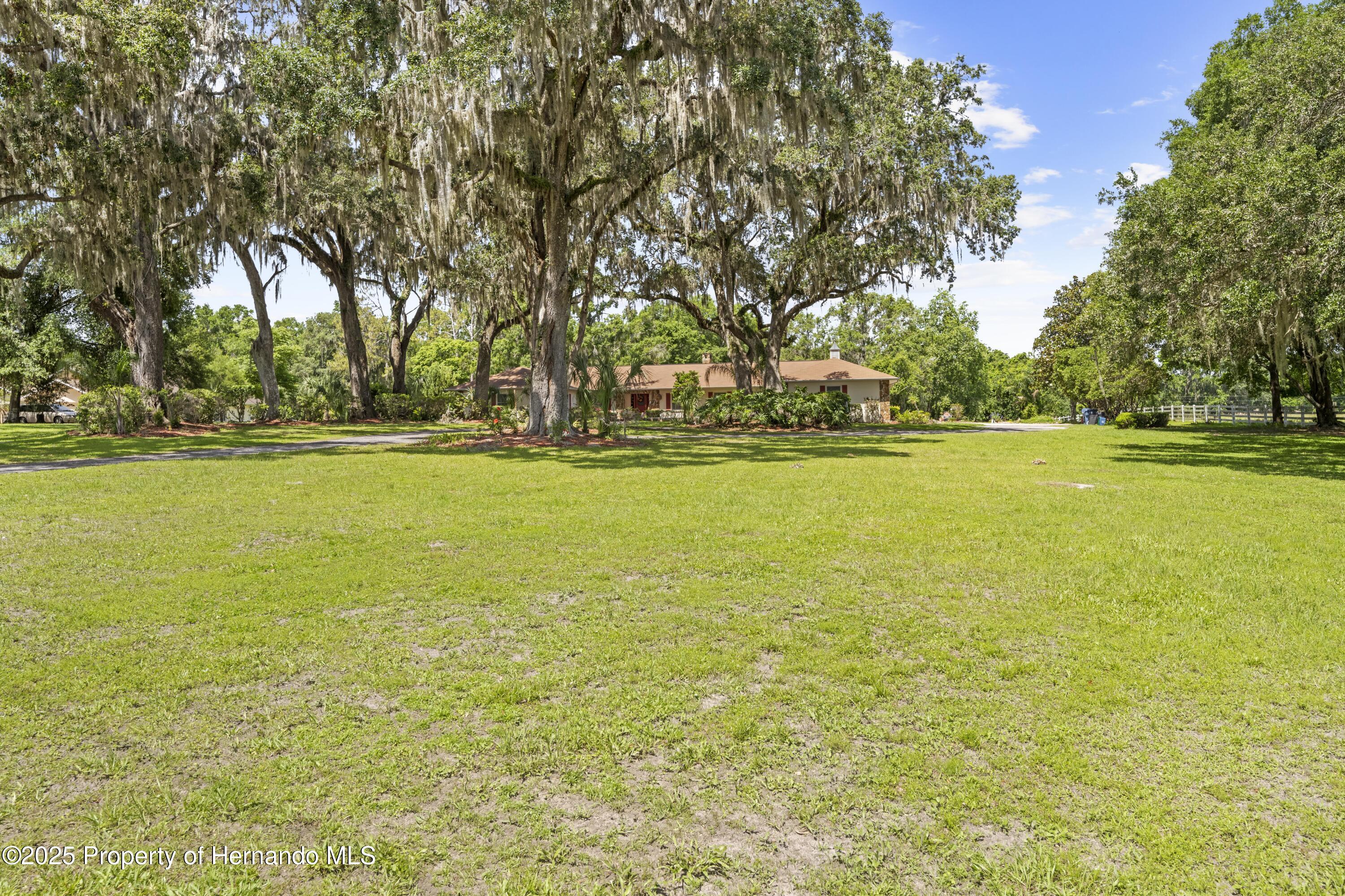 10193 Wallien Drive, Brooksville, Florida image 8