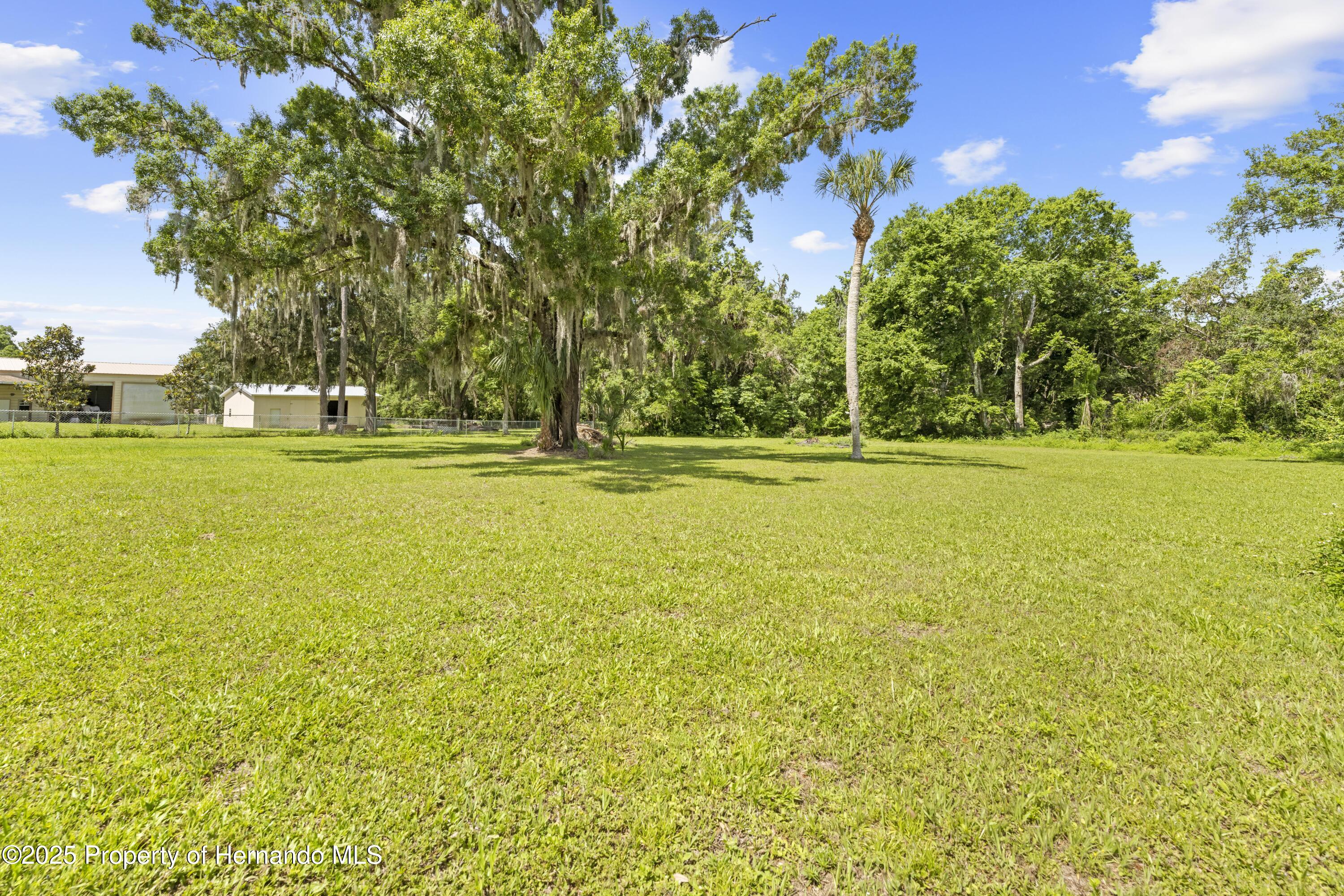 10193 Wallien Drive, Brooksville, Florida image 14