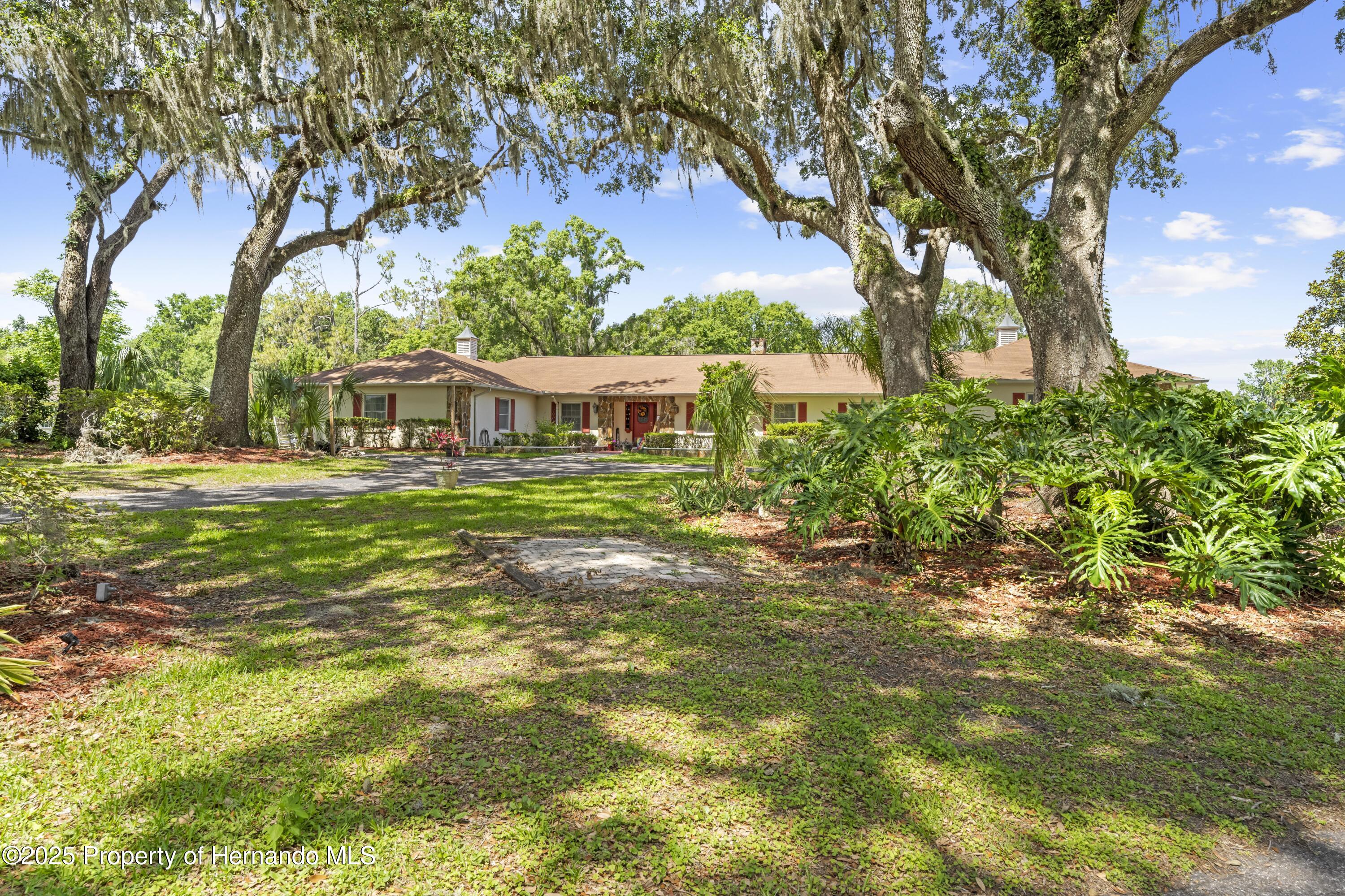 10193 Wallien Drive, Brooksville, Florida image 4