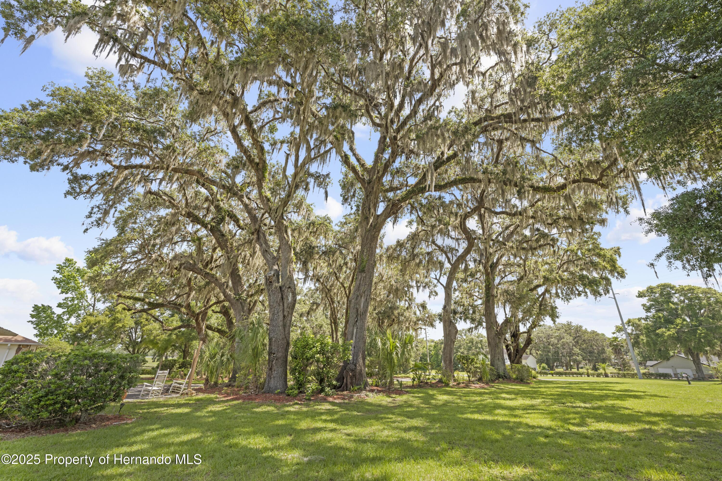 10193 Wallien Drive, Brooksville, Florida image 12