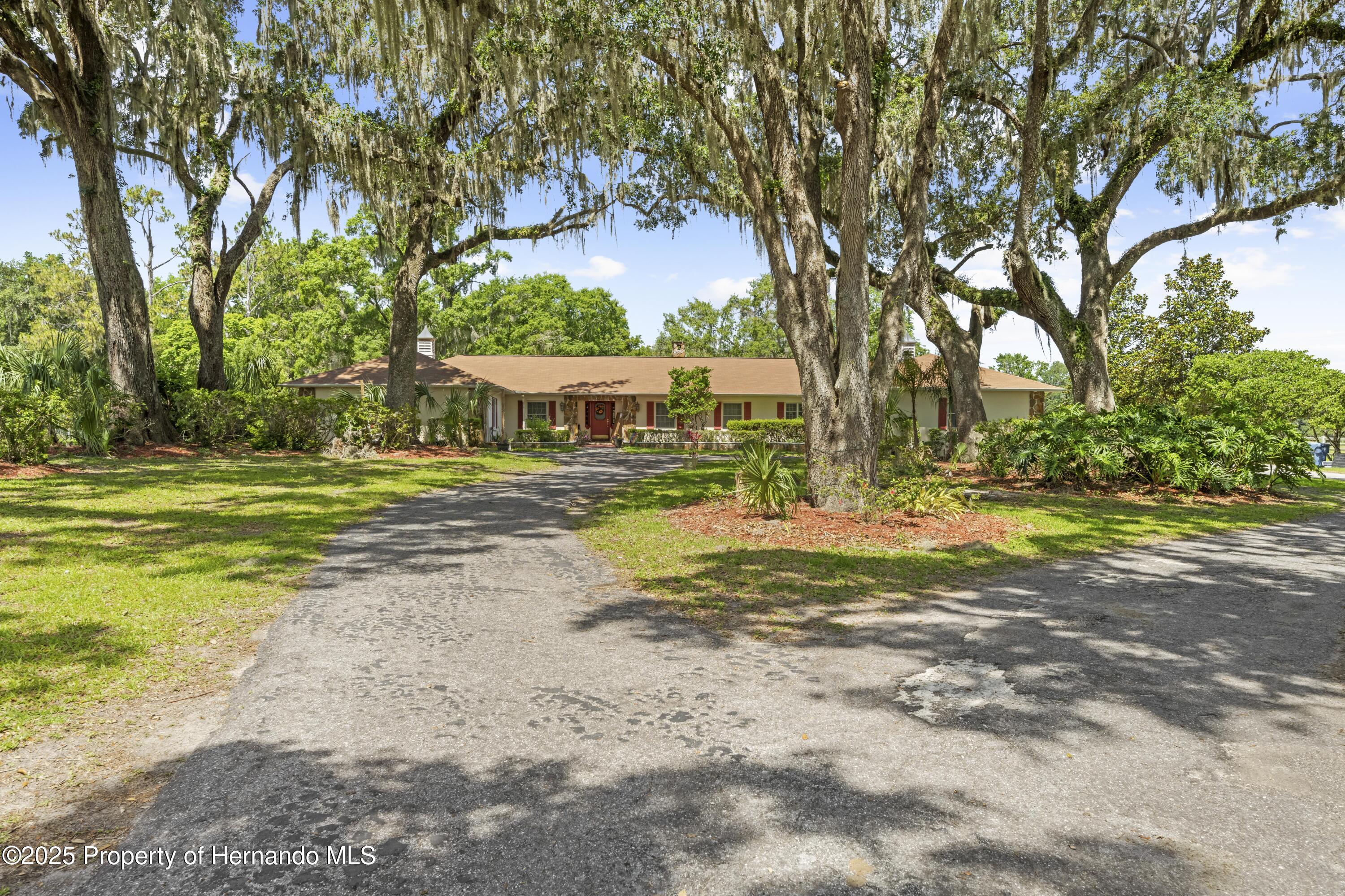 10193 Wallien Drive, Brooksville, Florida image 6