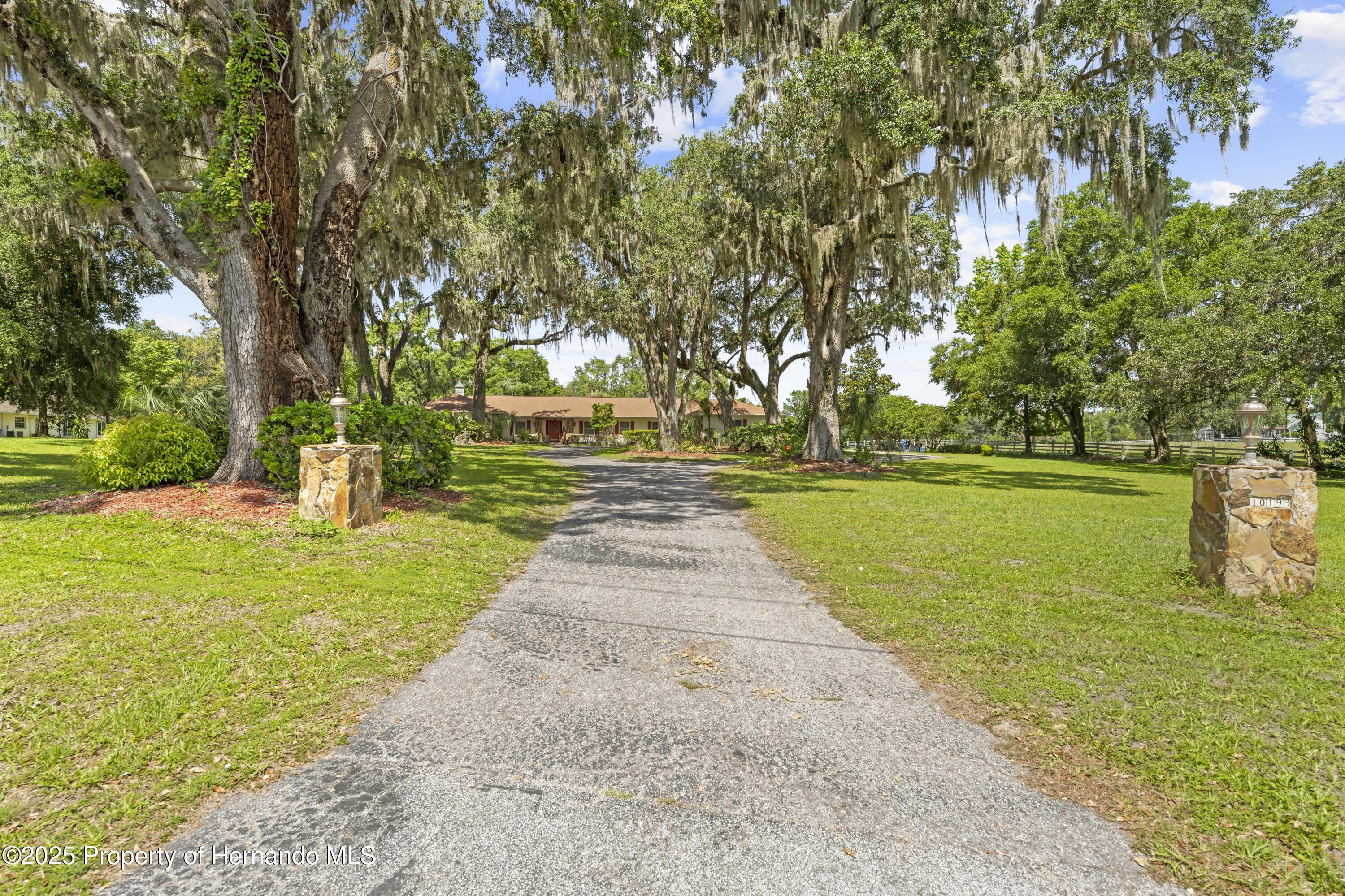10193 Wallien Drive, Brooksville, Florida image 7