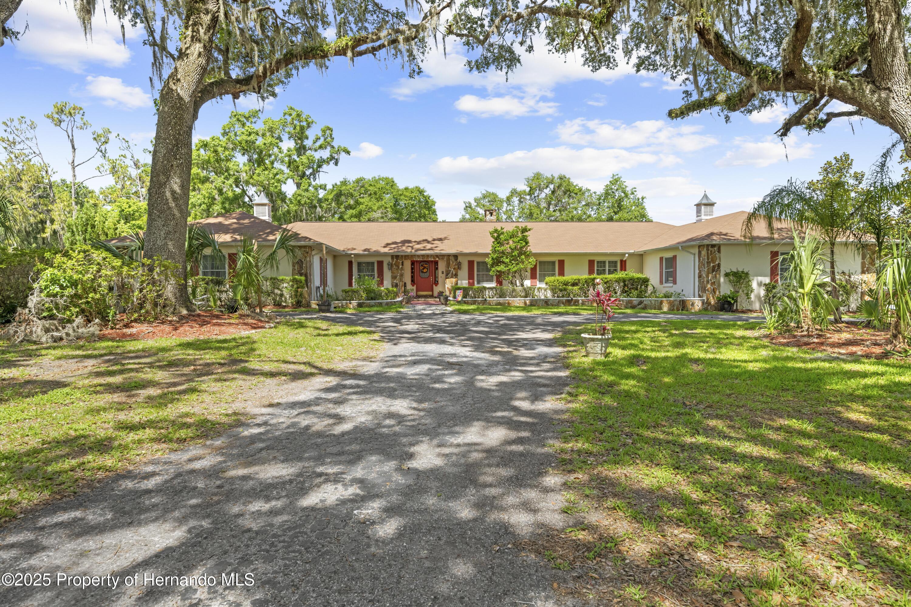 10193 Wallien Drive, Brooksville, Florida image 1