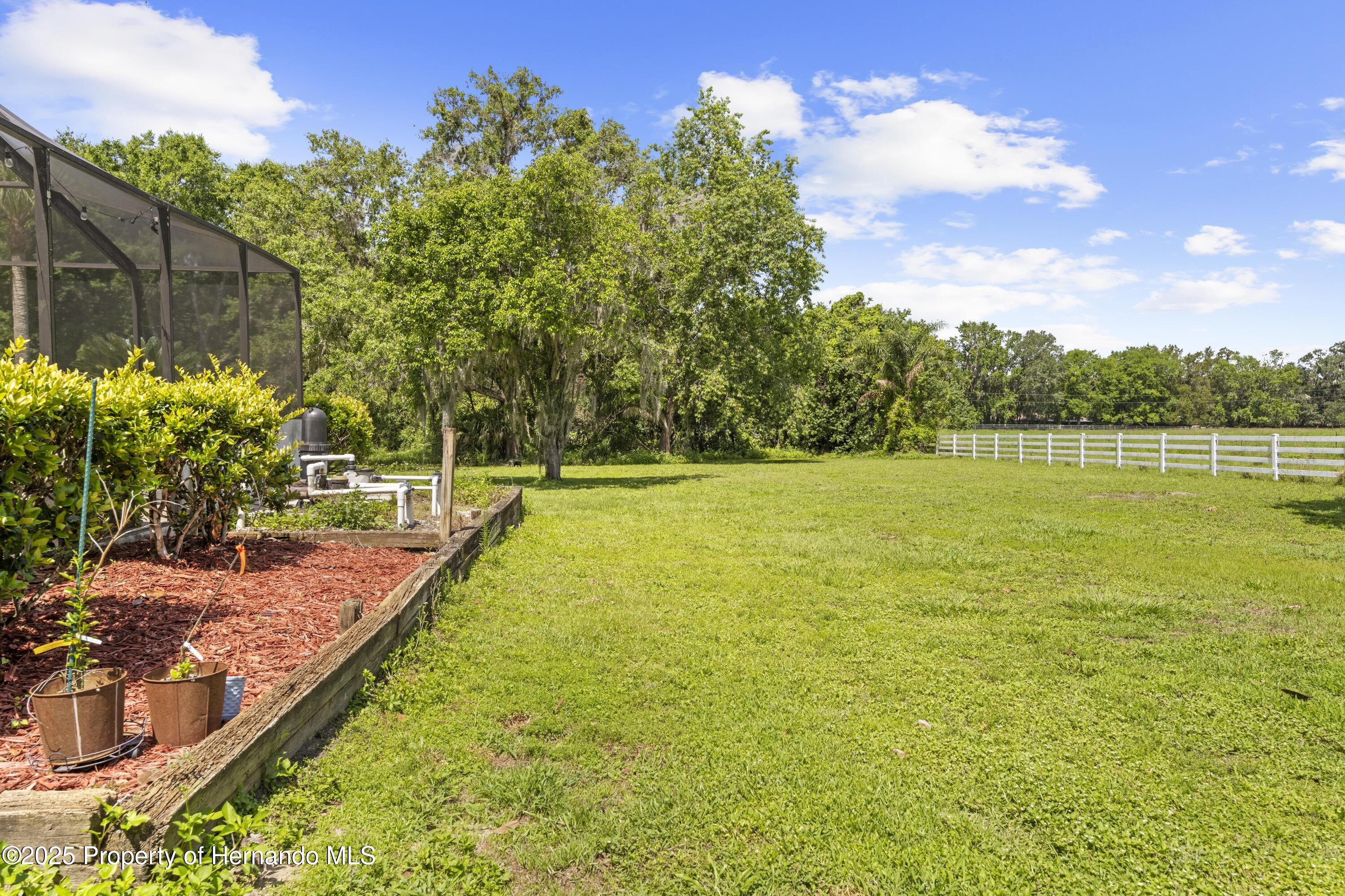 10193 Wallien Drive, Brooksville, Florida image 11