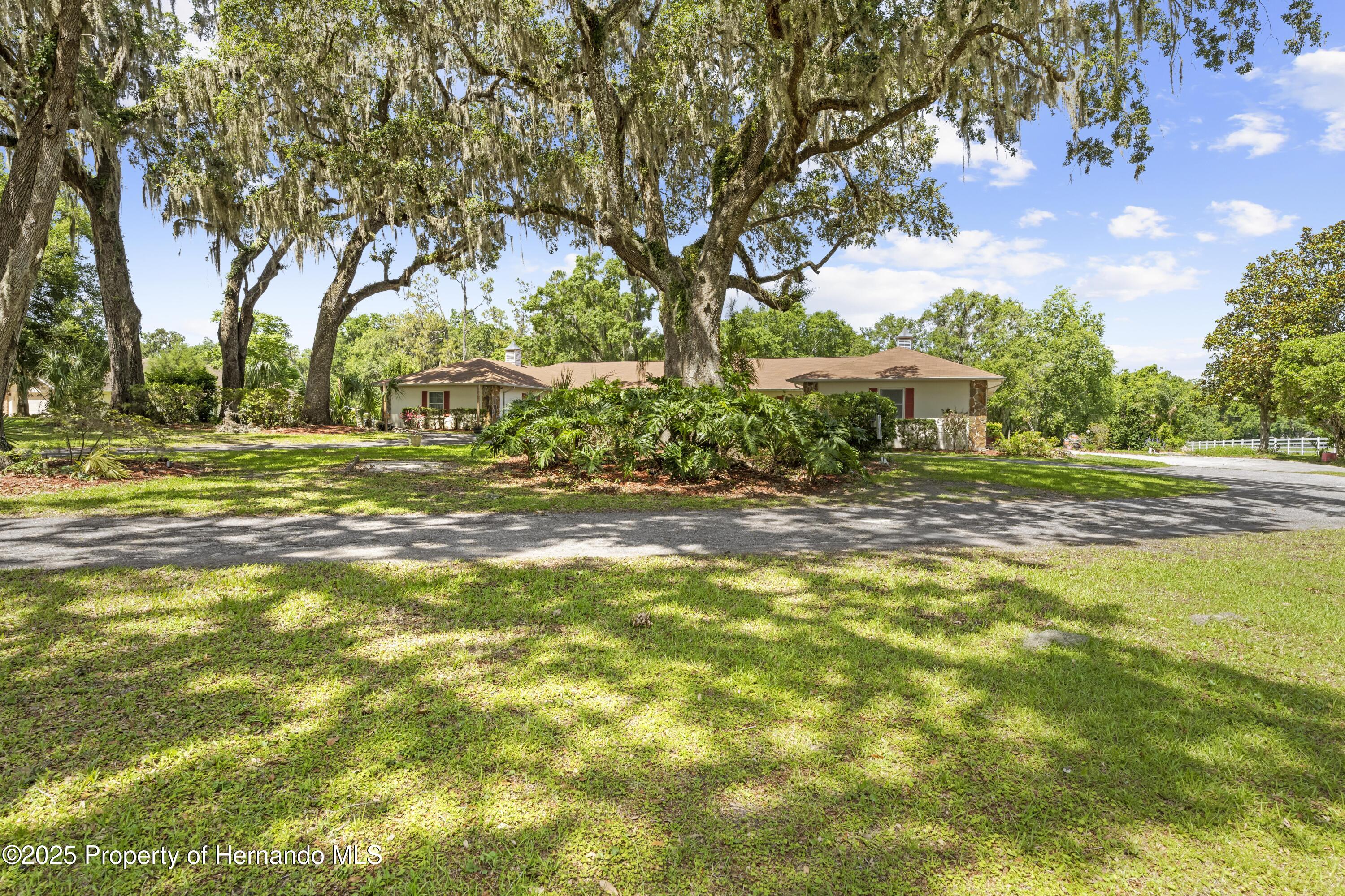 10193 Wallien Drive, Brooksville, Florida image 5