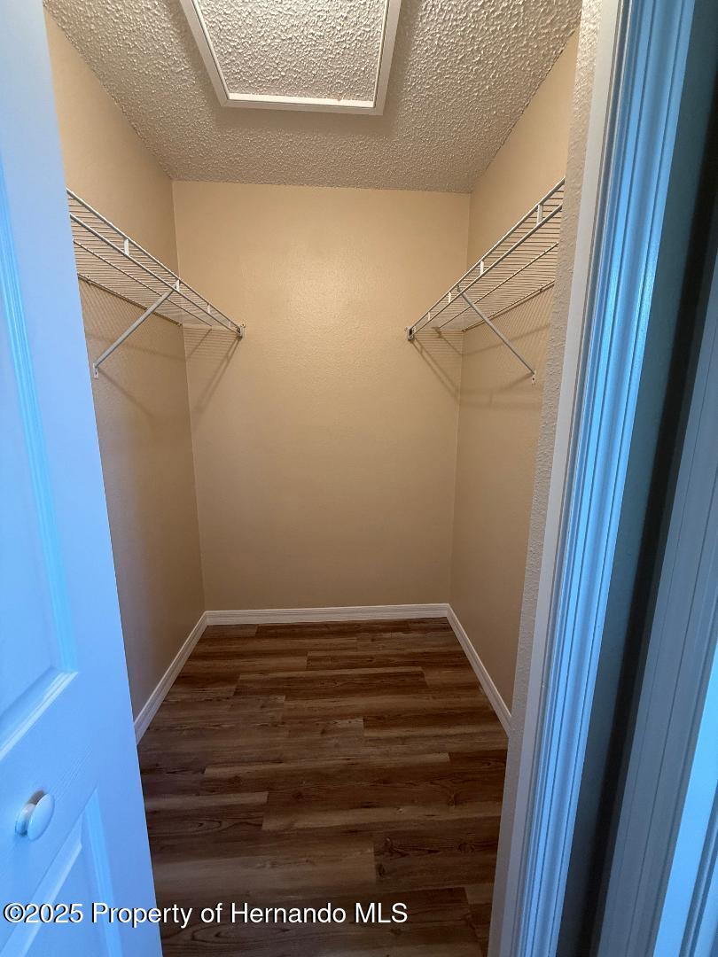 3355 Abeline Road, Spring Hill, Florida image 24