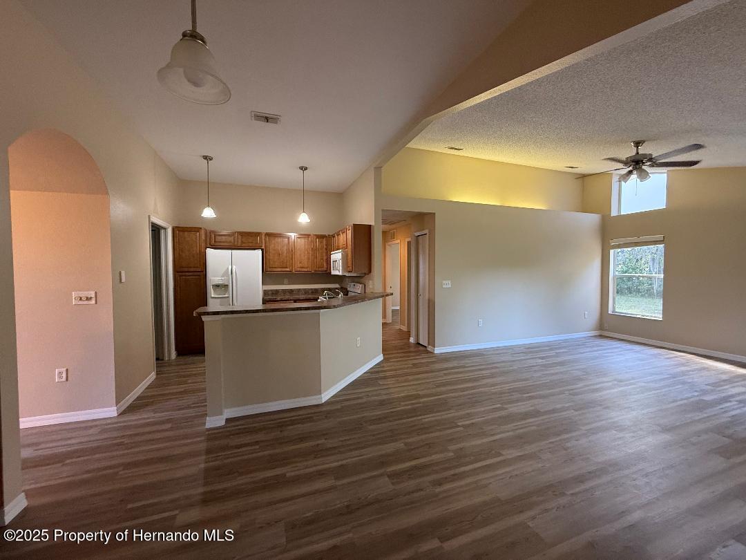 3355 Abeline Road, Spring Hill, Florida image 31