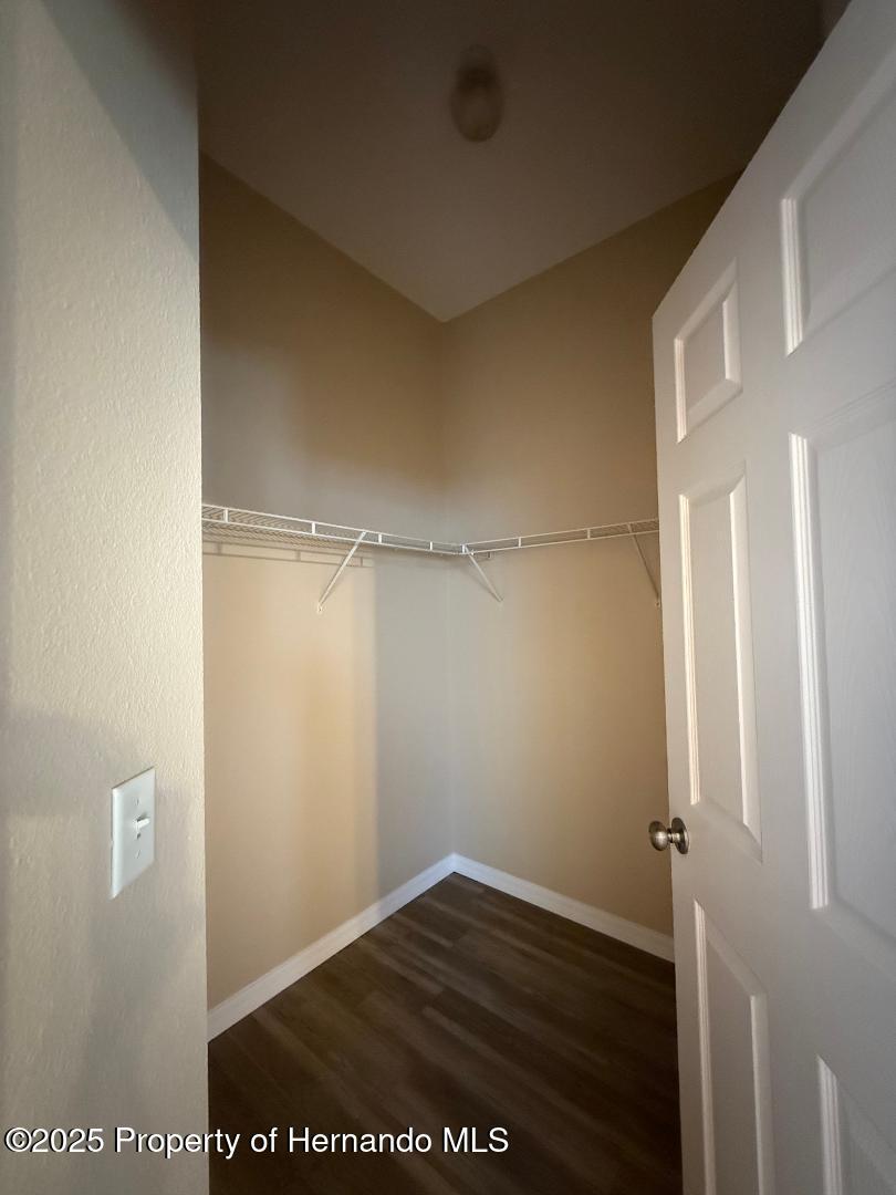 3355 Abeline Road, Spring Hill, Florida image 25