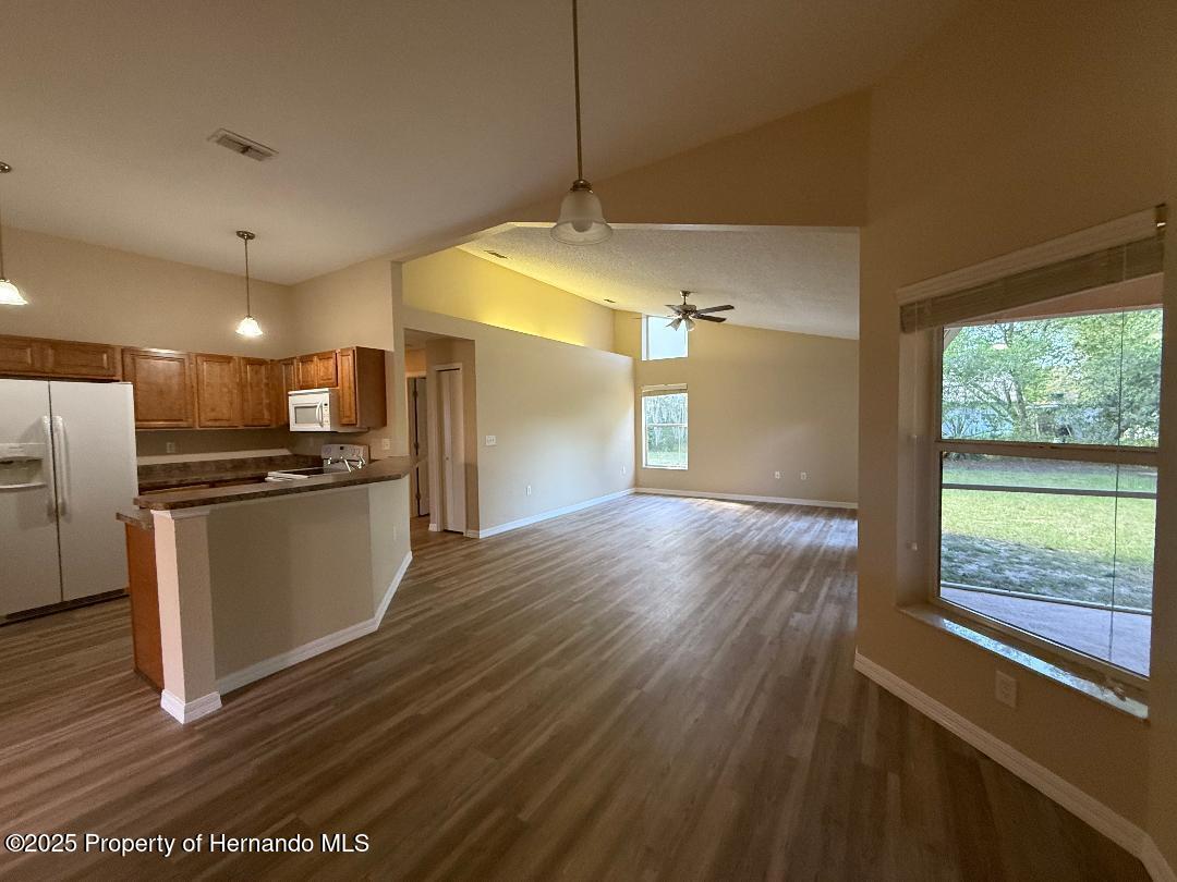 3355 Abeline Road, Spring Hill, Florida image 10