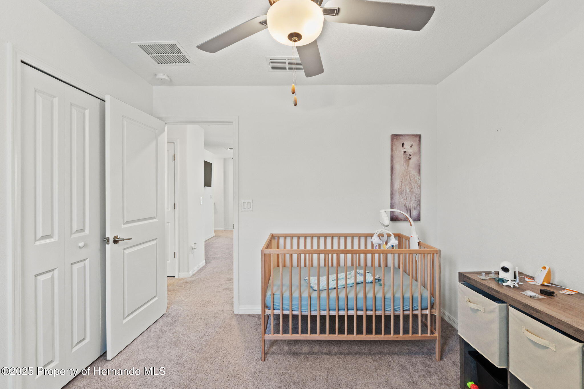 22359 Storybook Cabin Way, LAND O LAKES, Florida image 27