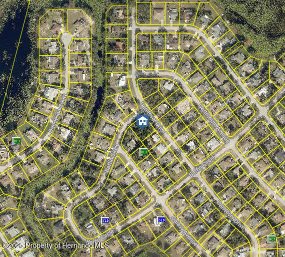 LOT 10 Dan River Drive, Spring Hill, Florida image 2