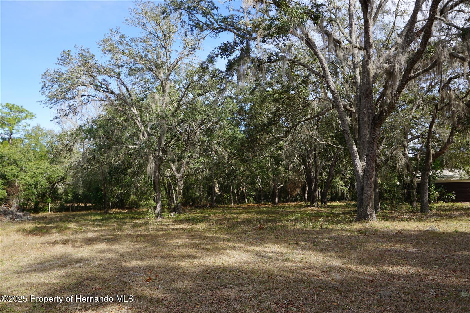 6985 E Hidden Court, Floral City, Florida image 19