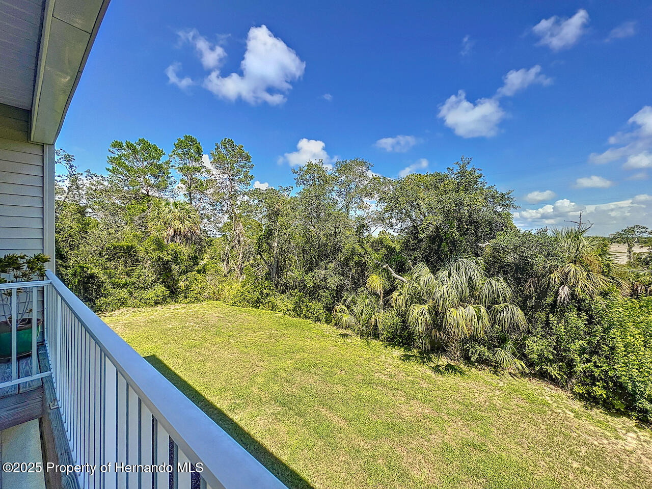 4514 Fishman Avenue, Spring Hill, Florida image 10