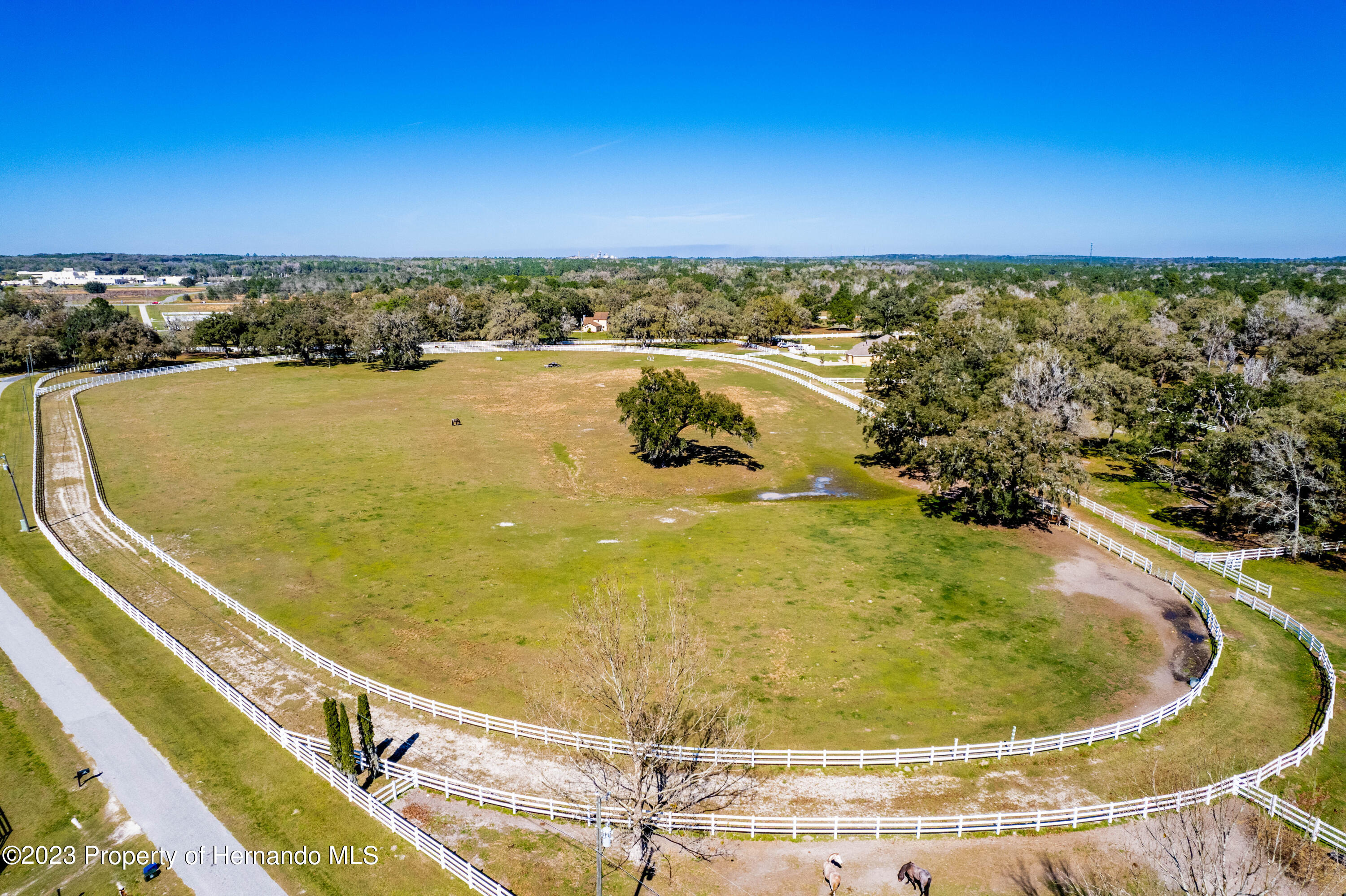 7050 Quarterhorse Lane, Brooksville, Florida image 42