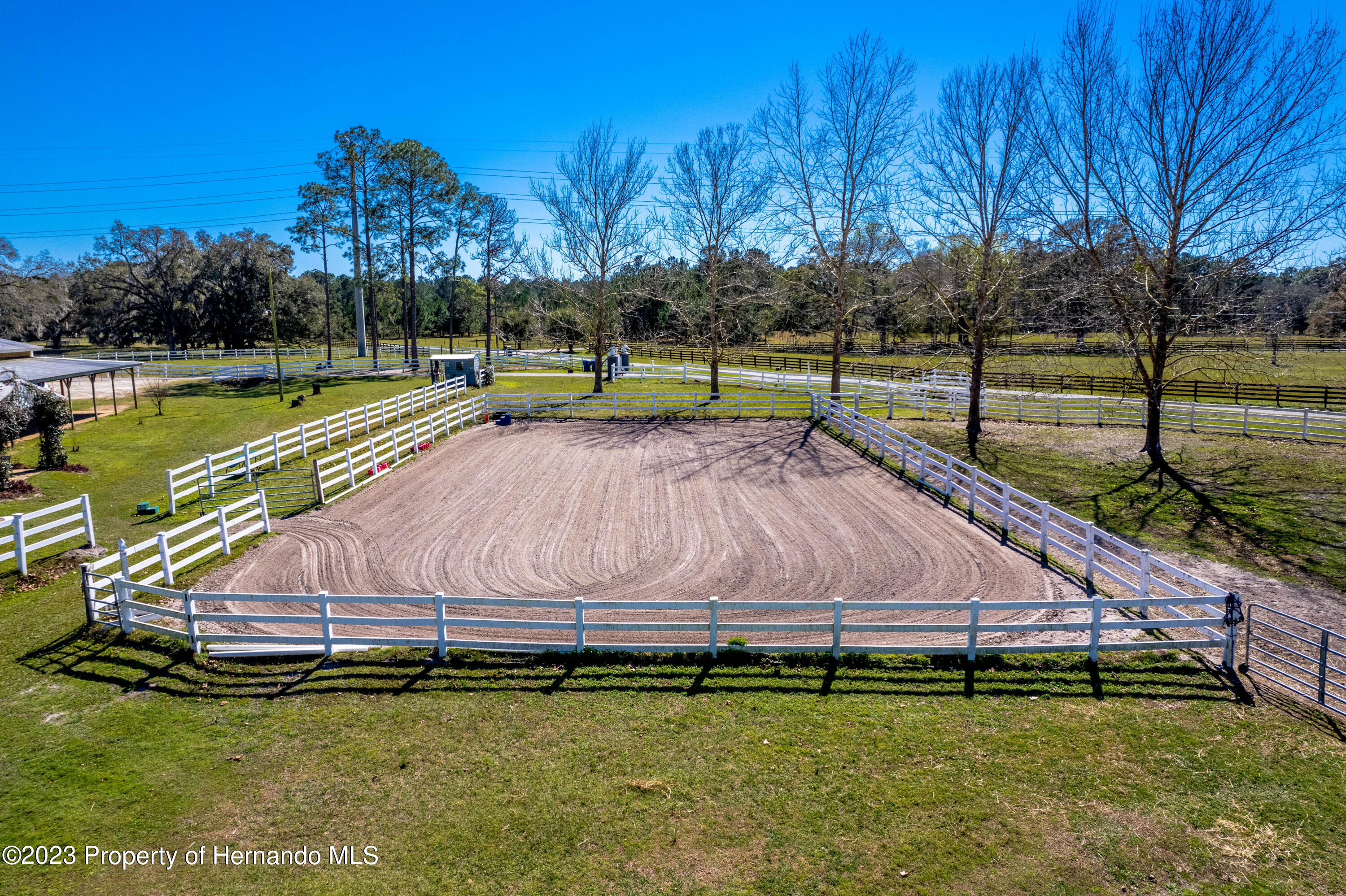 7050 Quarterhorse Lane, Brooksville, Florida image 6
