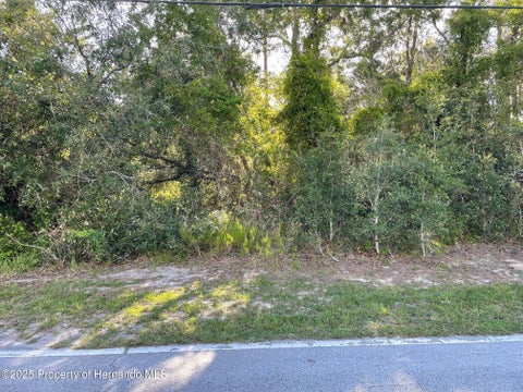 Vacant Land For Sale - 8217 Nightingale Road<br/> Weeki Wachee, FL 34613
