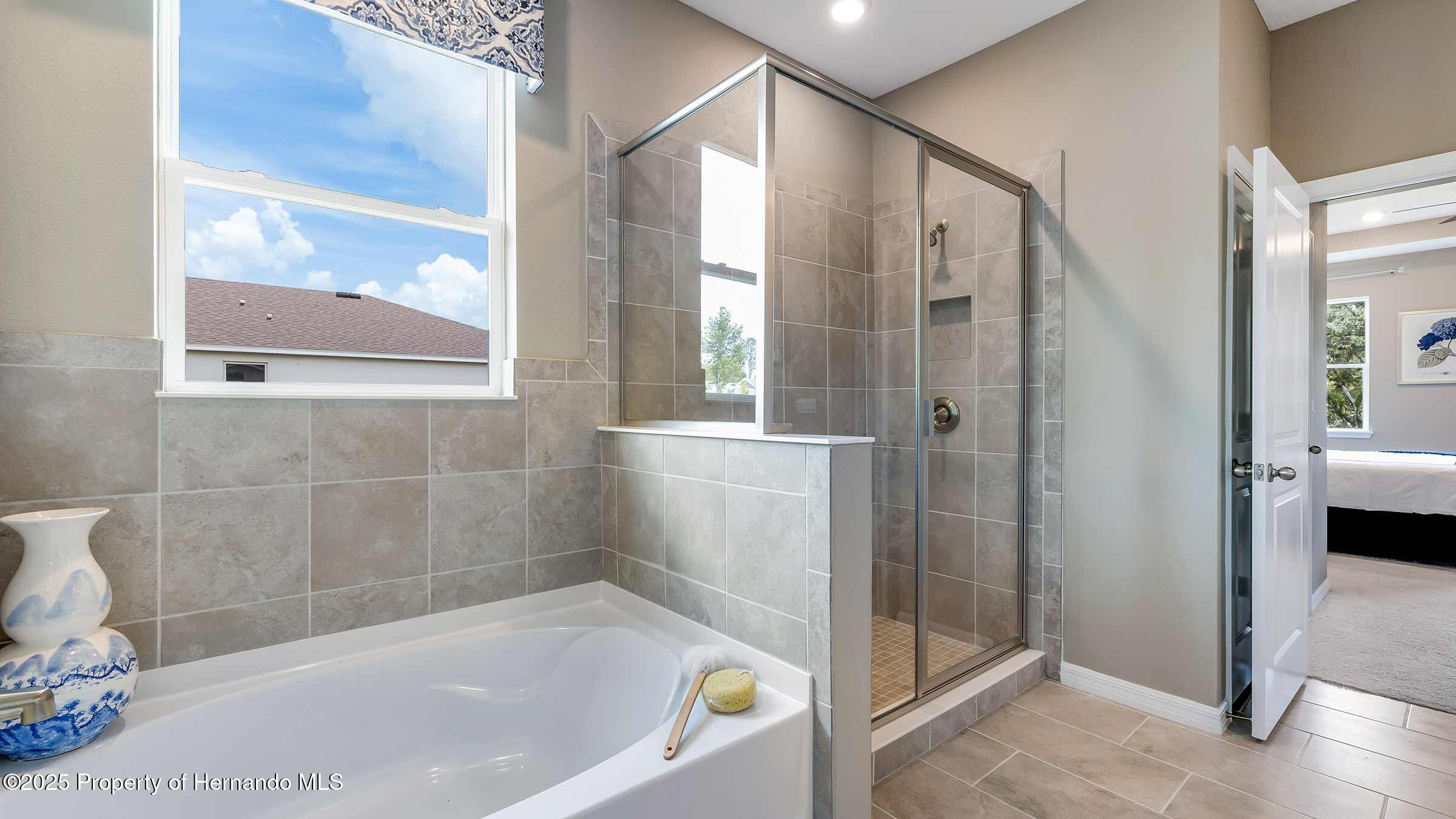 11342 Curio Drive, Brooksville, Florida image 13